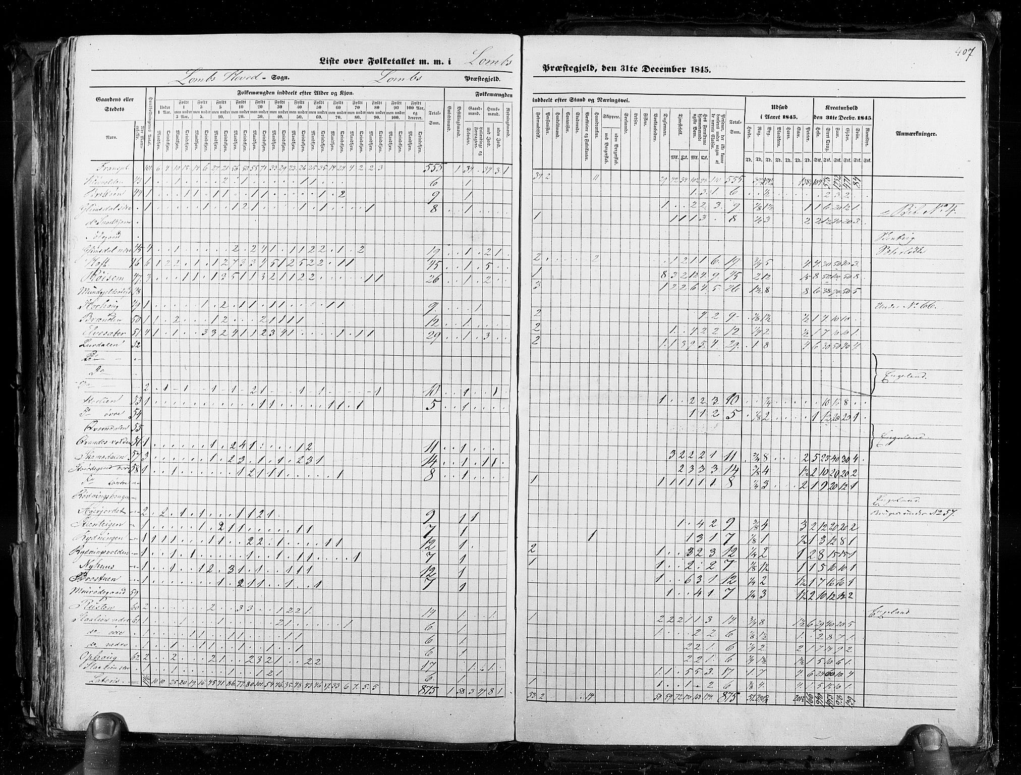 RA, Census 1845, vol. 3: Hedemarken amt og Kristians amt, 1845, p. 407