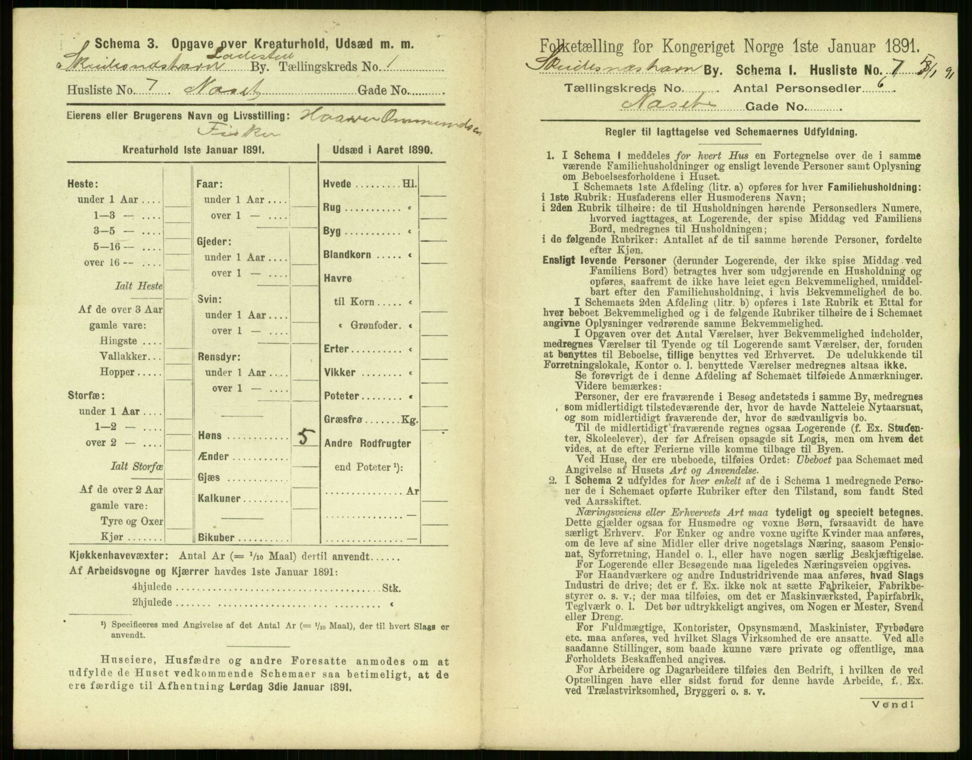 RA, 1891 census for 1104 Skudeneshavn, 1891, p. 28
