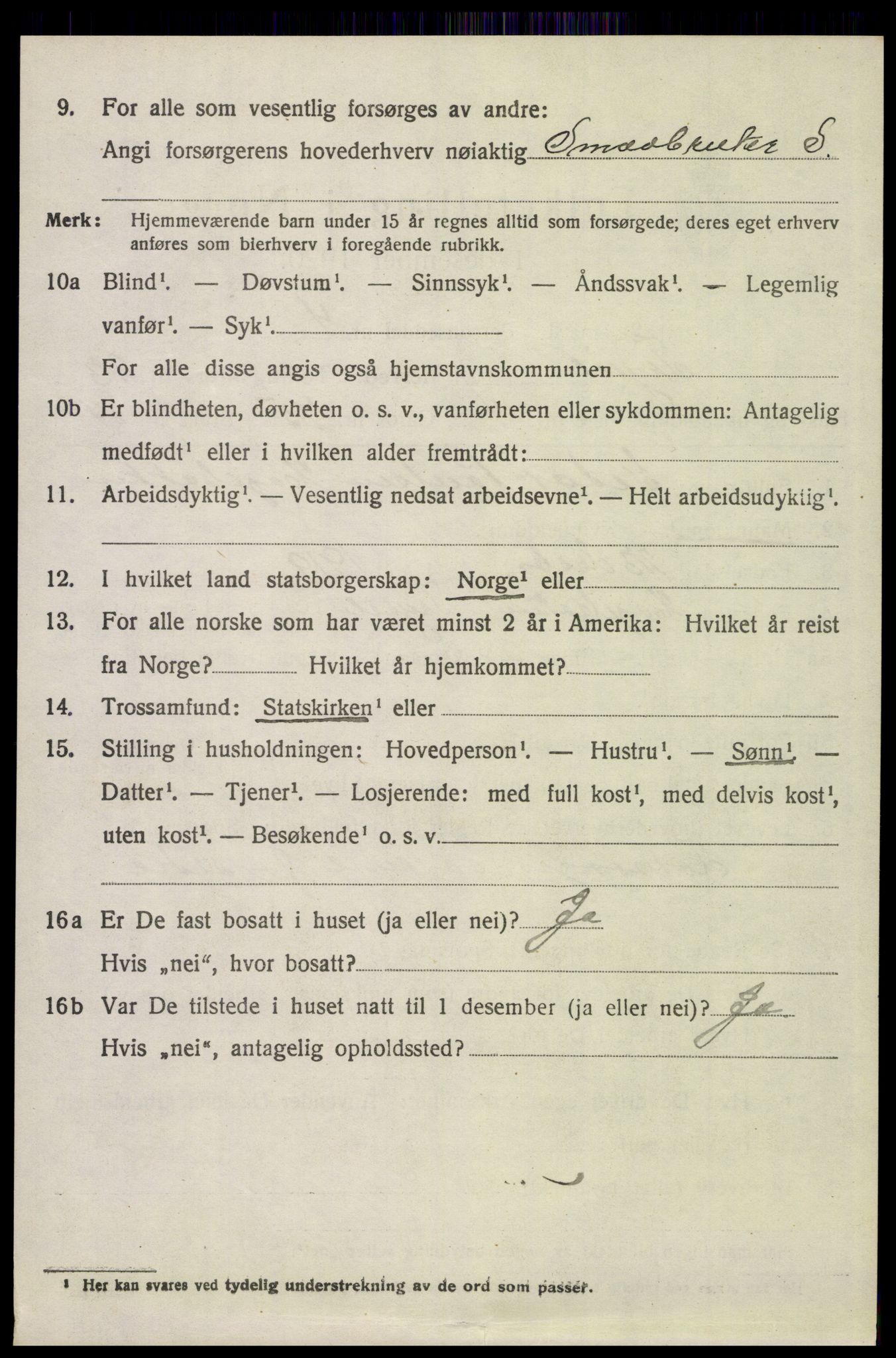 SAH, 1920 census for Trysil, 1920, p. 15000