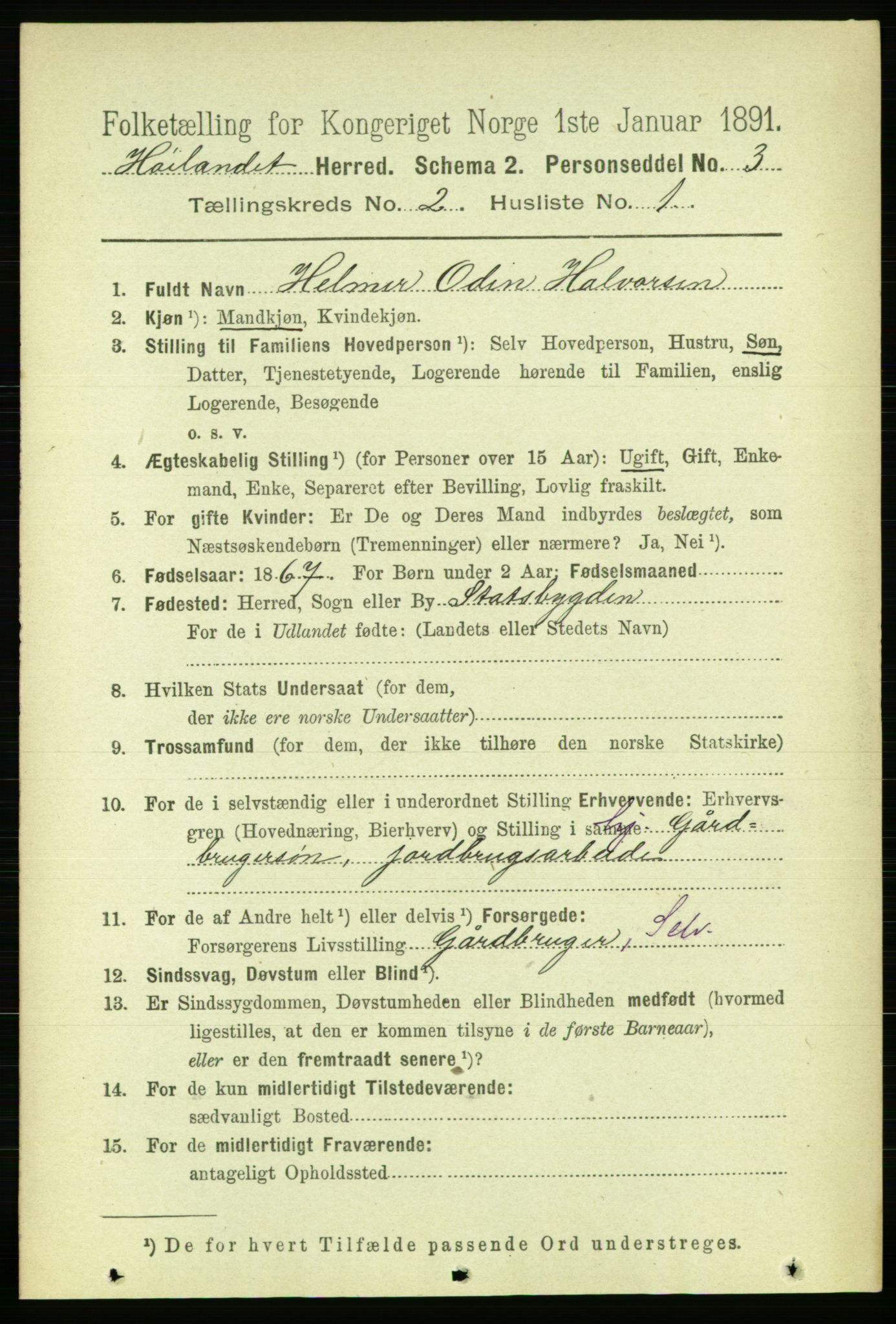 RA, 1891 census for 1651 Hølonda, 1891, p. 828