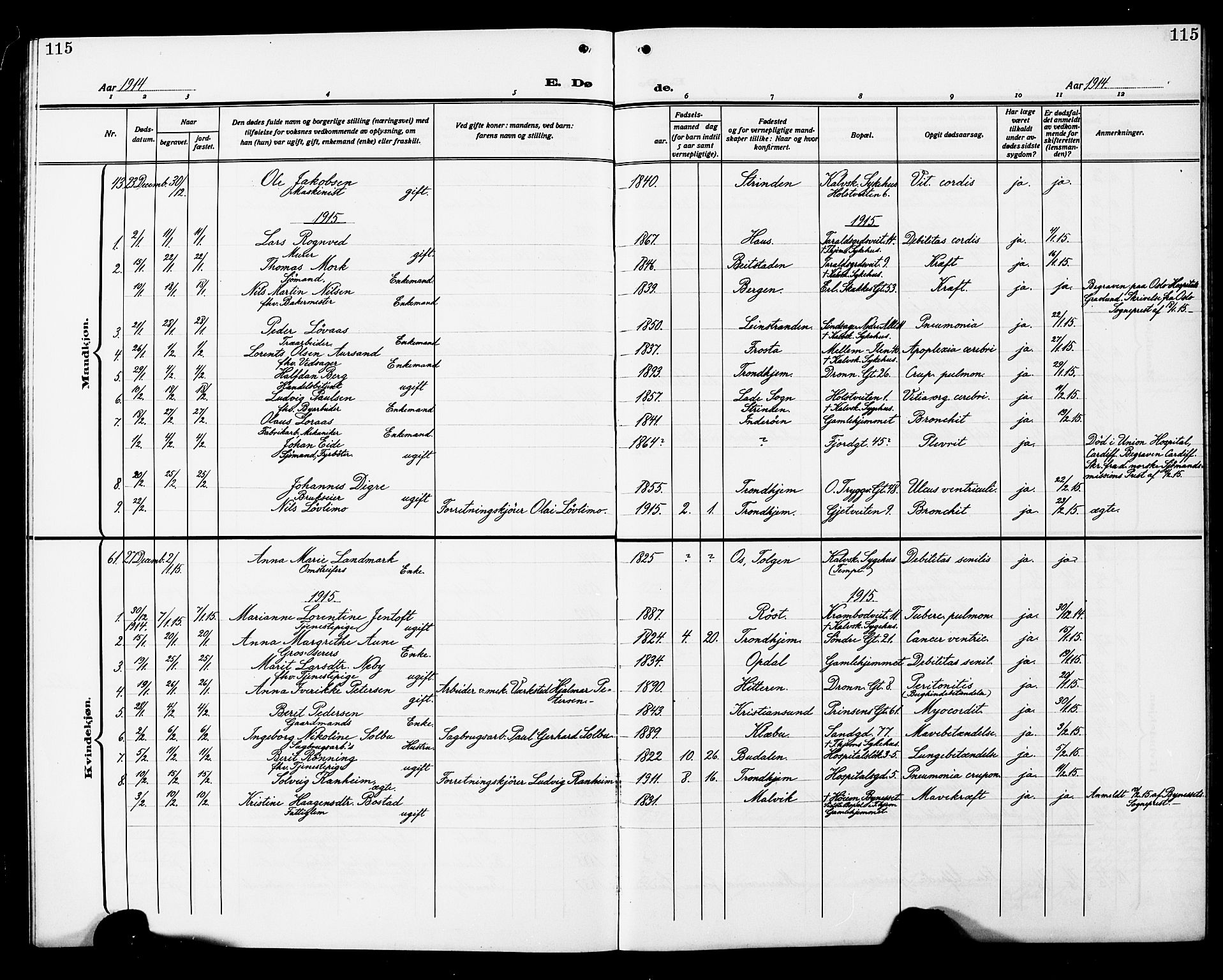 Ministerialprotokoller, klokkerbøker og fødselsregistre - Sør-Trøndelag, SAT/A-1456/602/L0147: Parish register (copy) no. 602C15, 1911-1924, p. 115