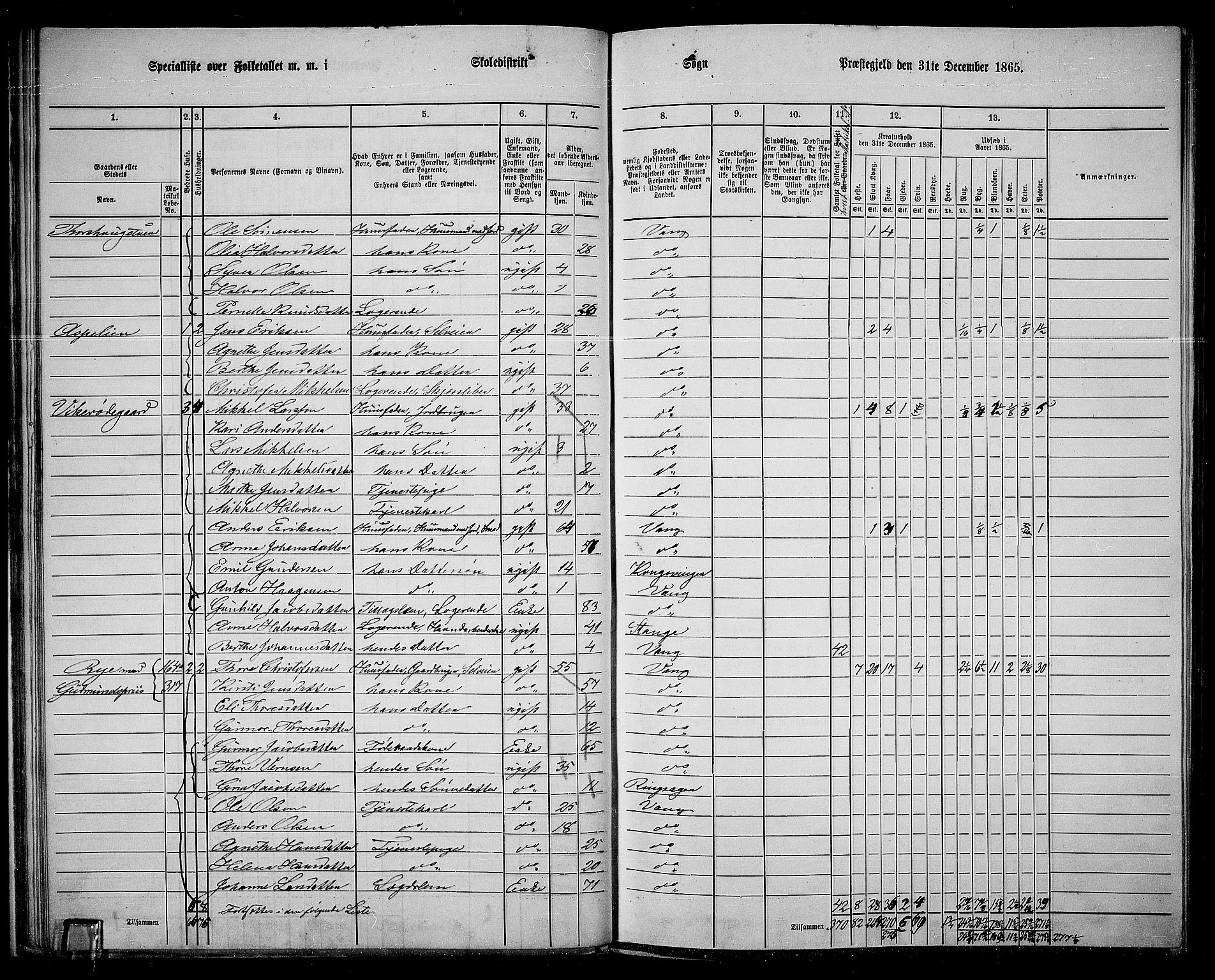 RA, 1865 census for Vang/Vang og Furnes, 1865, p. 188