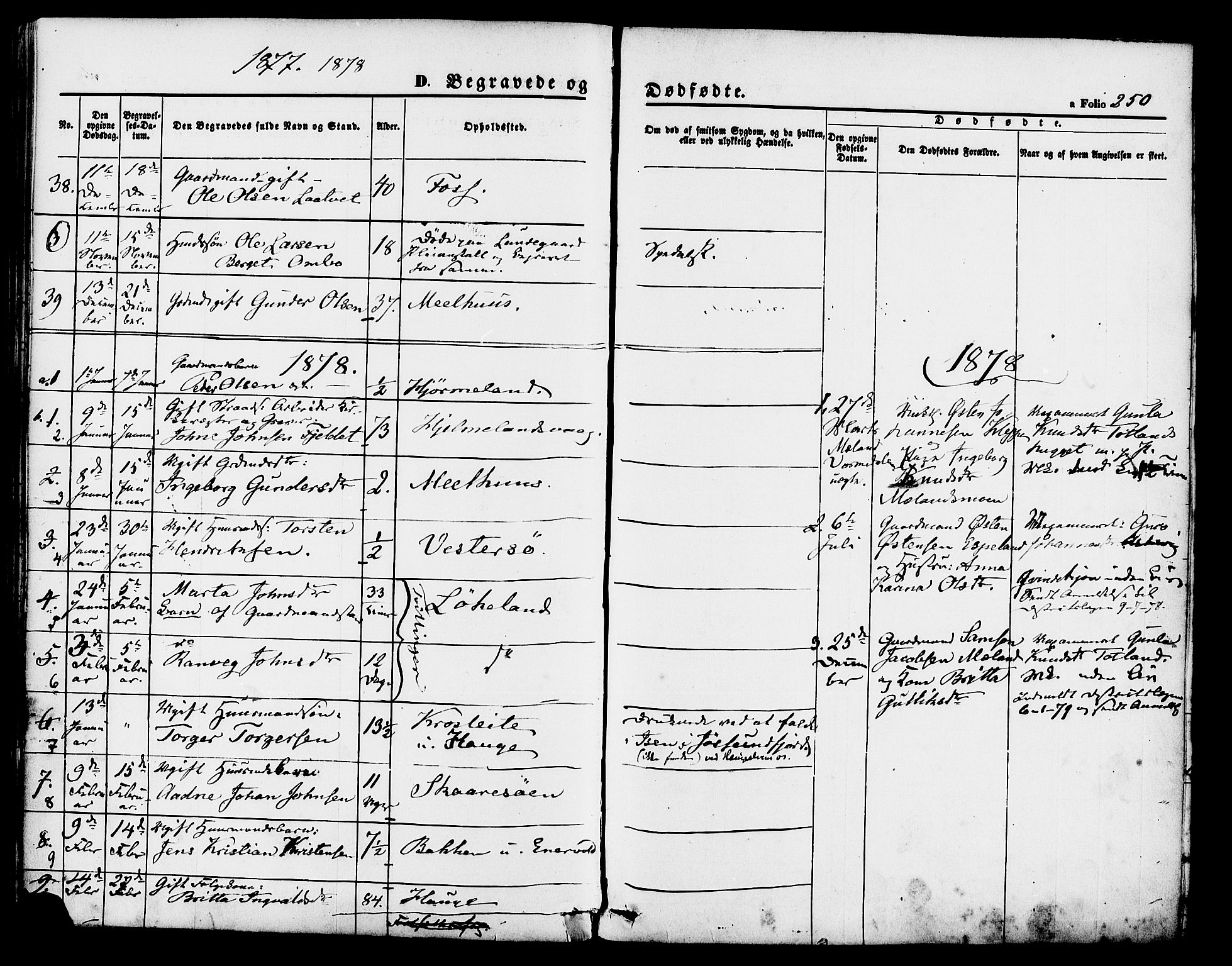 Hjelmeland sokneprestkontor, SAST/A-101843/01/IV/L0011: Parish register (official) no. A 11, 1861-1878, p. 250