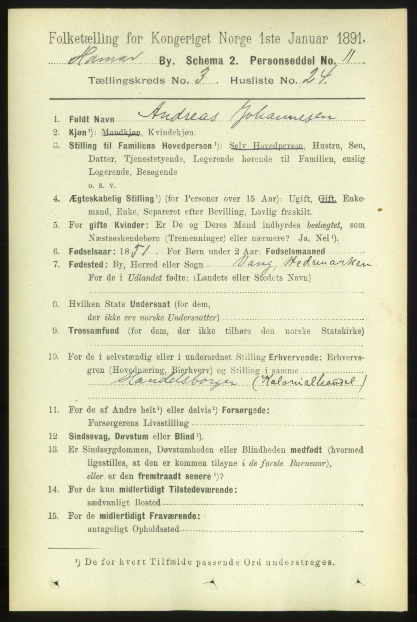 RA, 1891 census for 0401 Hamar, 1891, p. 2243
