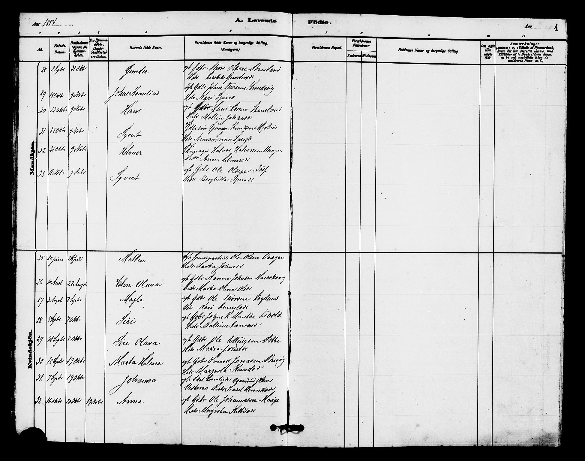 Hjelmeland sokneprestkontor, SAST/A-101843/01/V/L0007: Parish register (copy) no. B 7, 1880-1909, p. 4