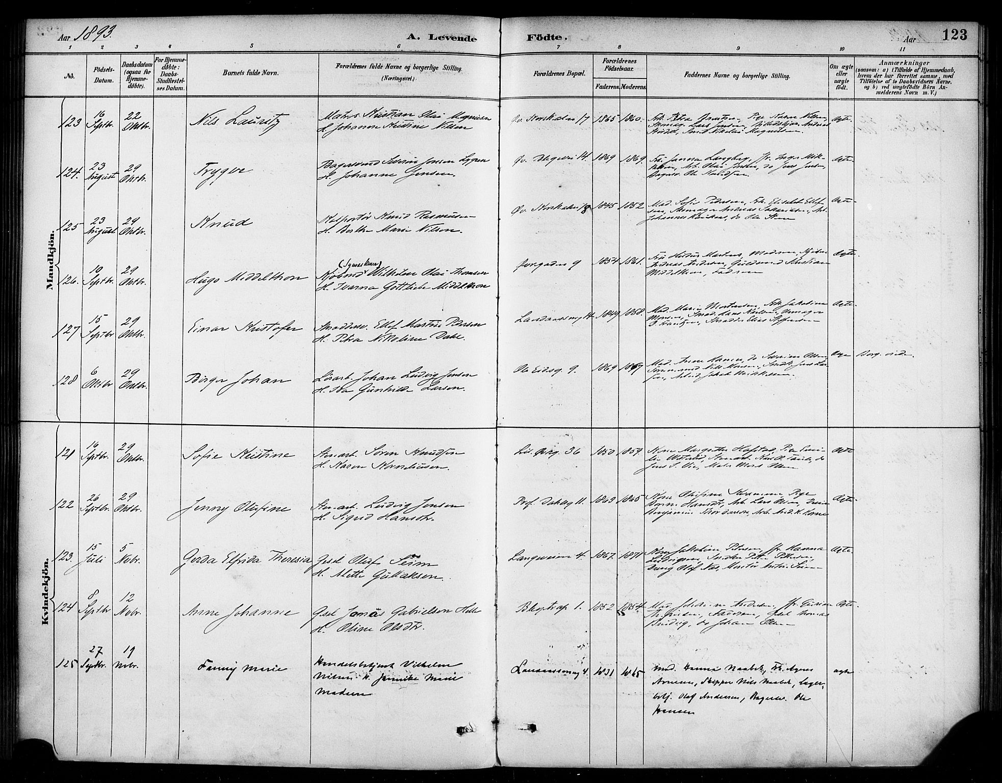 Korskirken sokneprestembete, AV/SAB-A-76101/H/Haa/L0022: Parish register (official) no. B 8, 1889-1899, p. 123