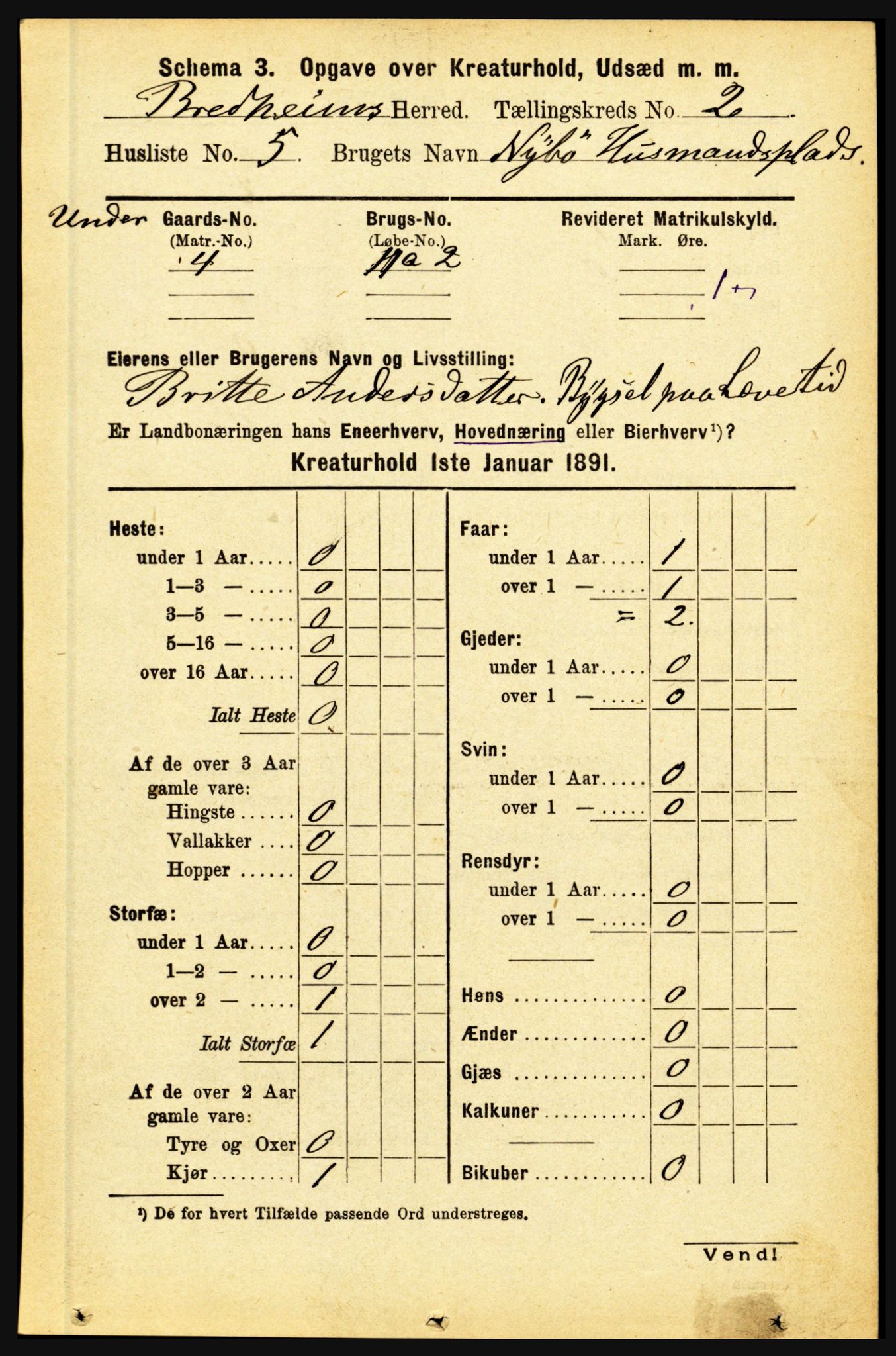 RA, 1891 census for 1446 Breim, 1891, p. 2412