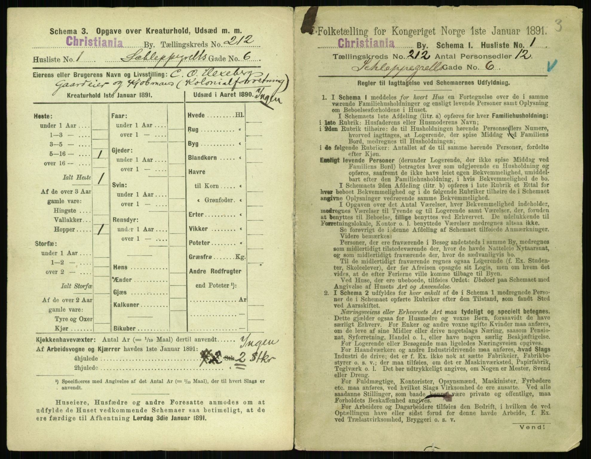 RA, 1891 census for 0301 Kristiania, 1891, p. 126412