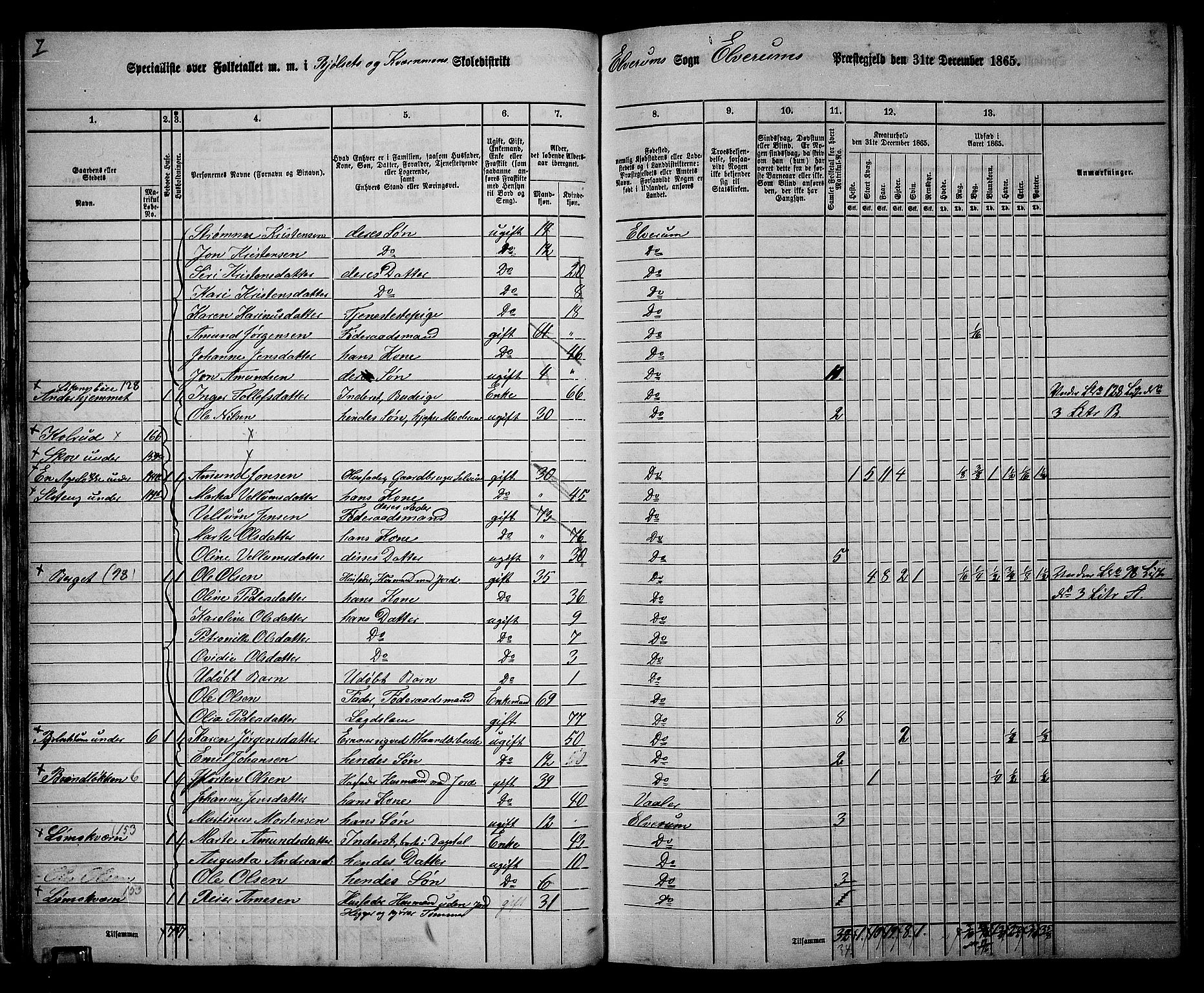 RA, 1865 census for Elverum, 1865, p. 31