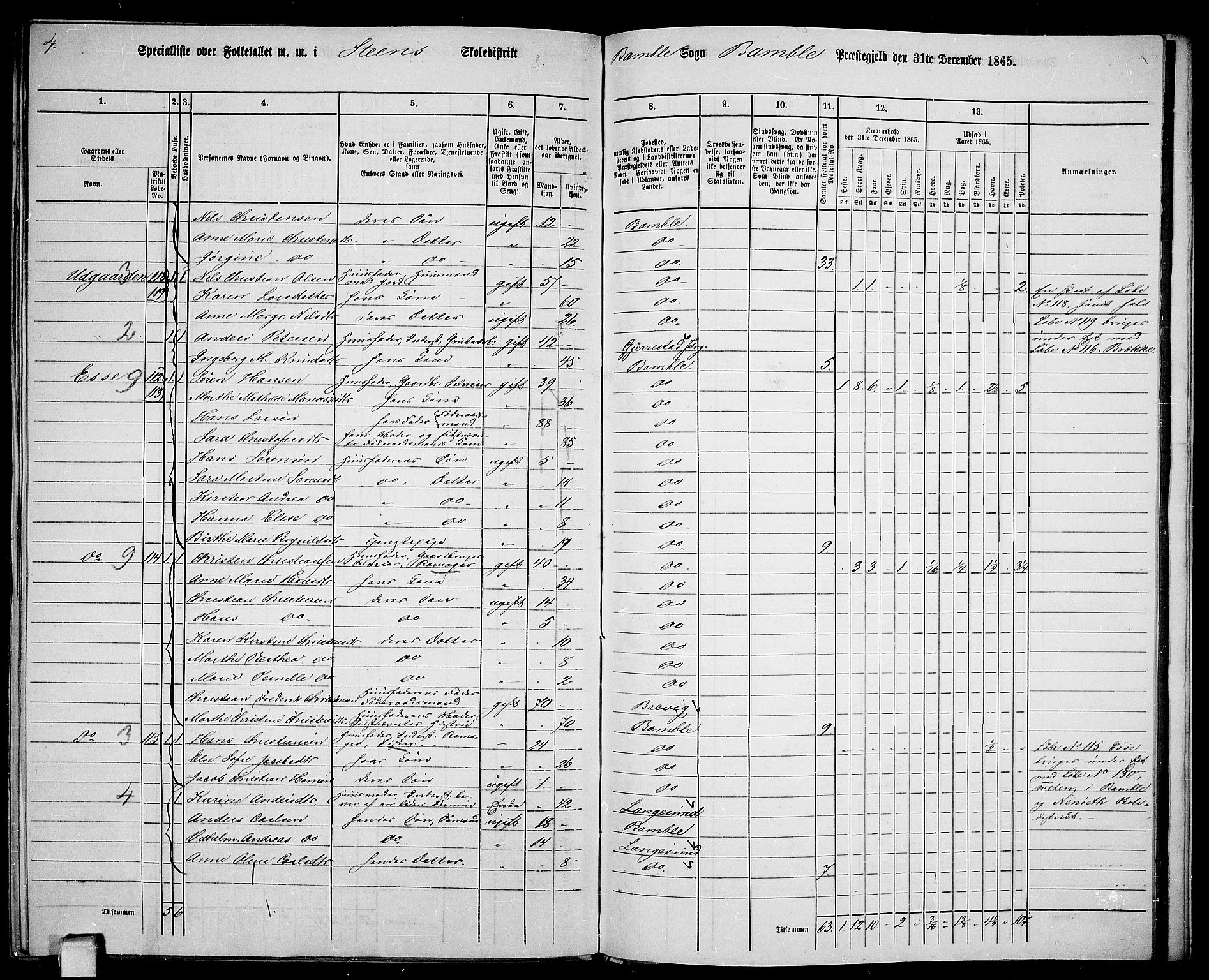 RA, 1865 census for Bamble, 1865, p. 172