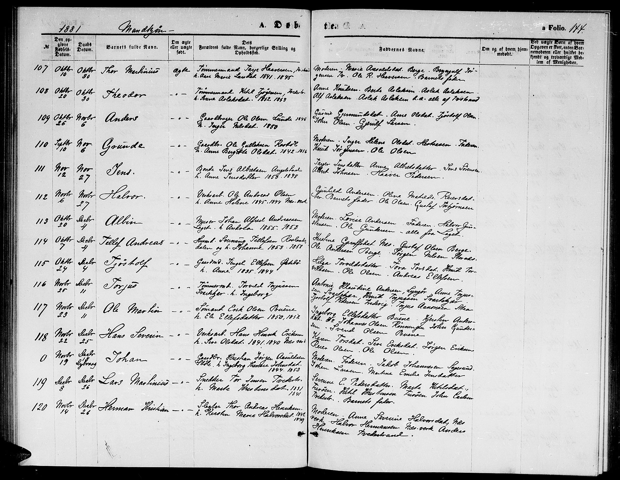 Holt sokneprestkontor, AV/SAK-1111-0021/F/Fb/L0009: Parish register (copy) no. B 9, 1871-1883, p. 144