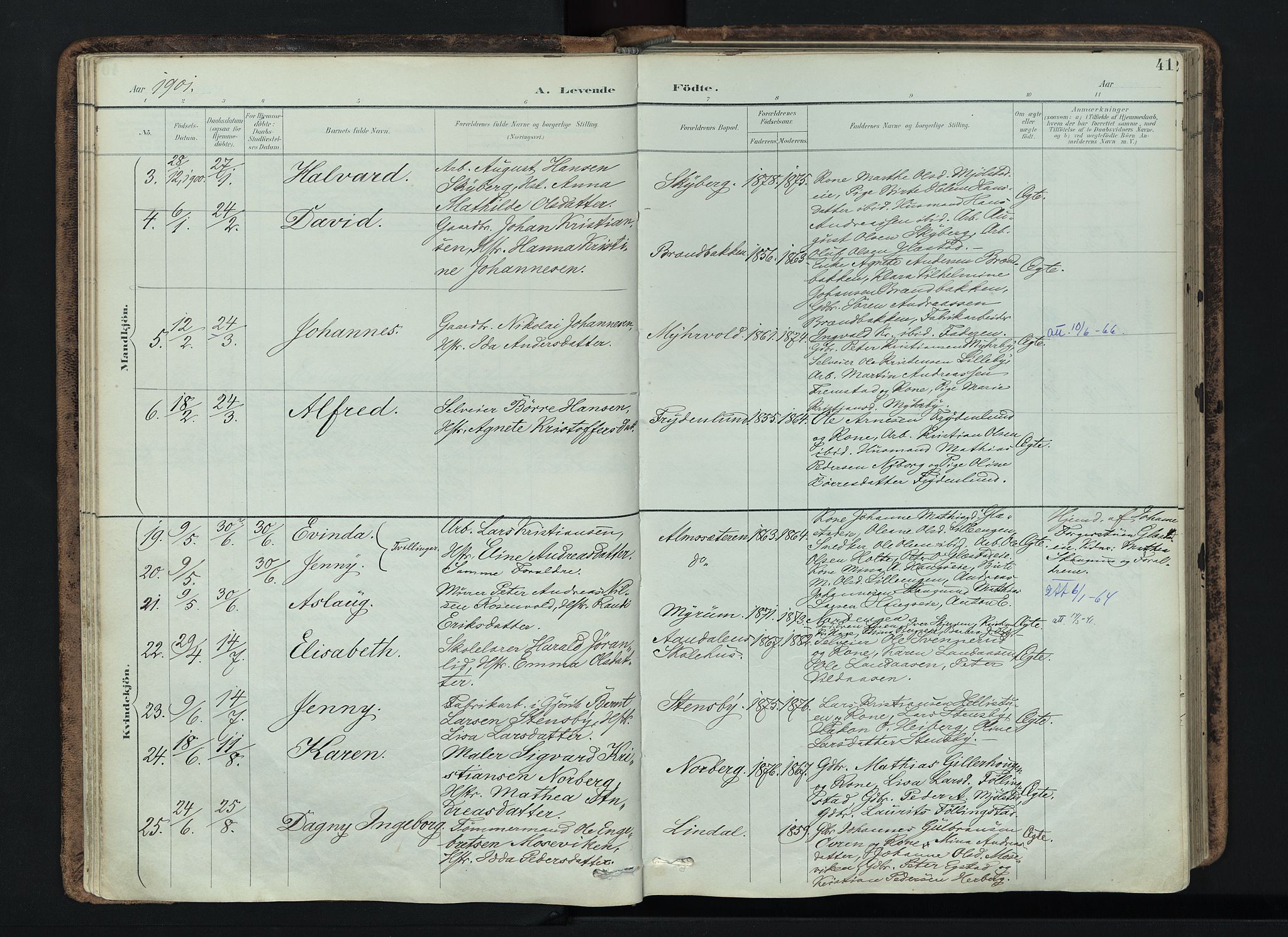 Vardal prestekontor, AV/SAH-PREST-100/H/Ha/Haa/L0019: Parish register (official) no. 19, 1893-1907, p. 41