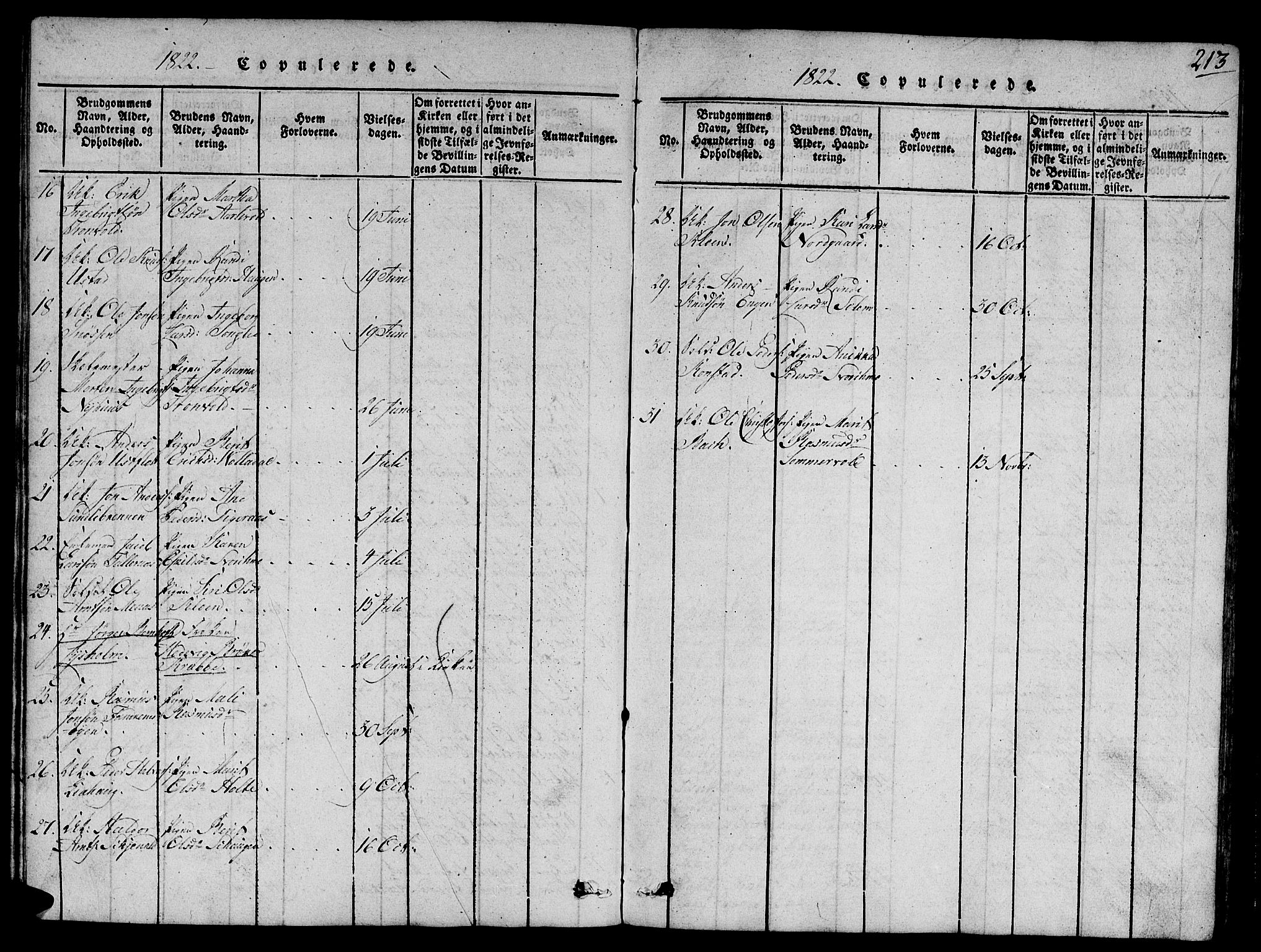 Ministerialprotokoller, klokkerbøker og fødselsregistre - Sør-Trøndelag, SAT/A-1456/668/L0803: Parish register (official) no. 668A03, 1800-1826, p. 213