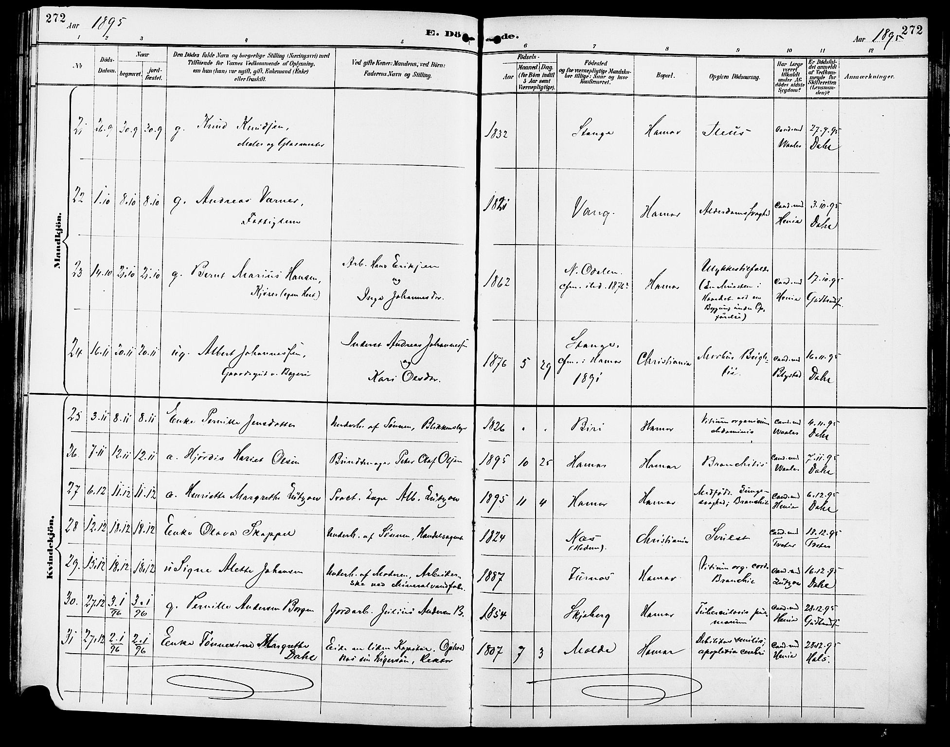 Vang prestekontor, Hedmark, AV/SAH-PREST-008/H/Ha/Haa/L0017: Parish register (official) no. 17, 1890-1899, p. 272