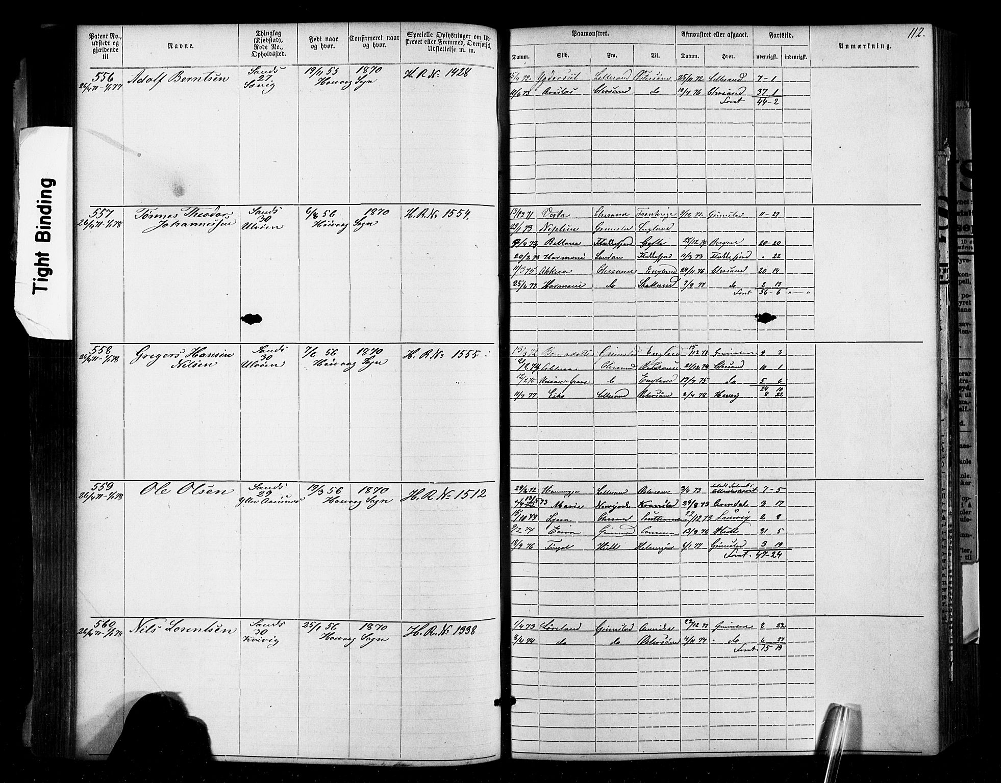 Lillesand mønstringskrets, SAK/2031-0014/F/Fa/L0002: Annotasjonsrulle nr 1-1910 med register, W-8, 1868-1891, p. 115