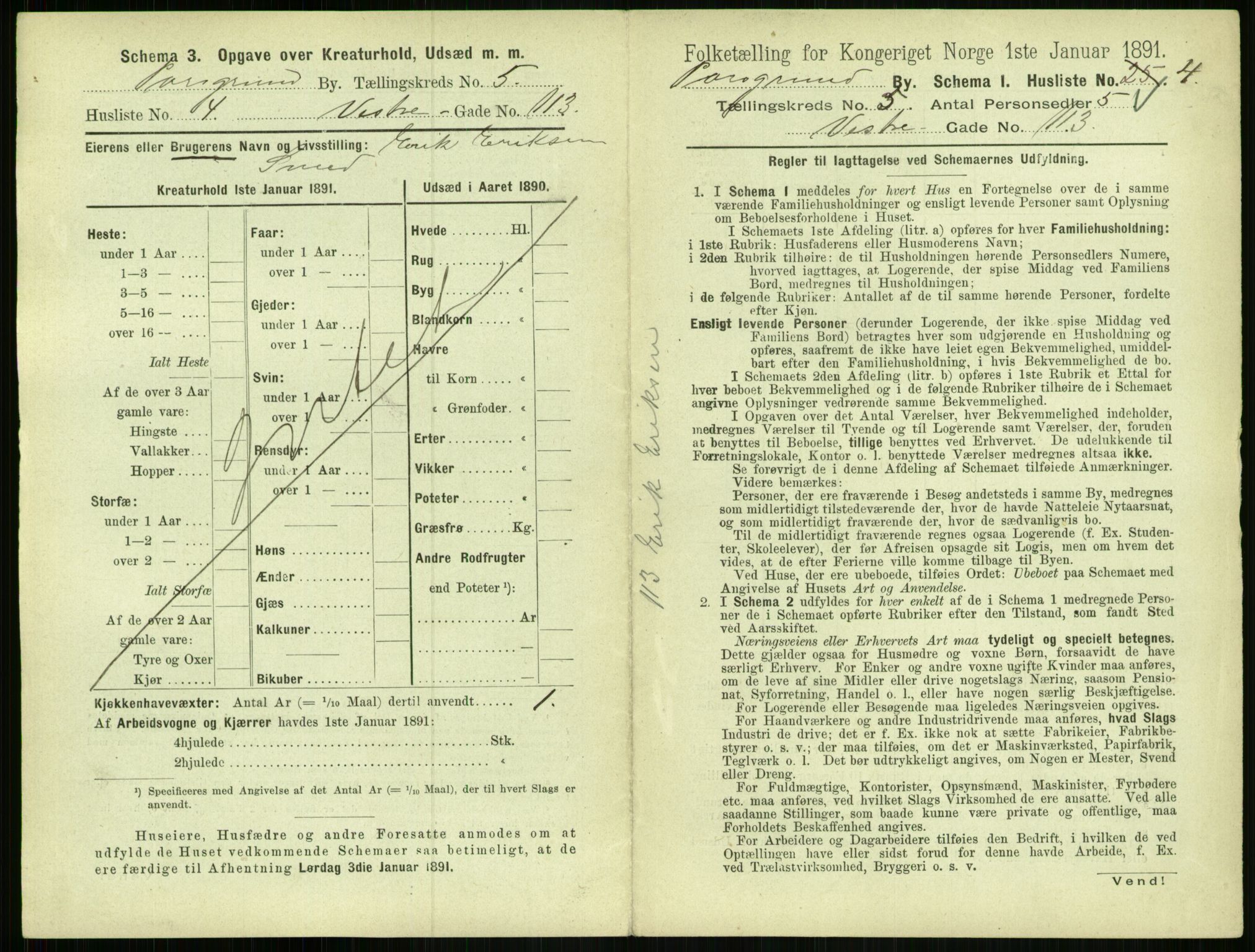 RA, 1891 census for 0805 Porsgrunn, 1891, p. 1005