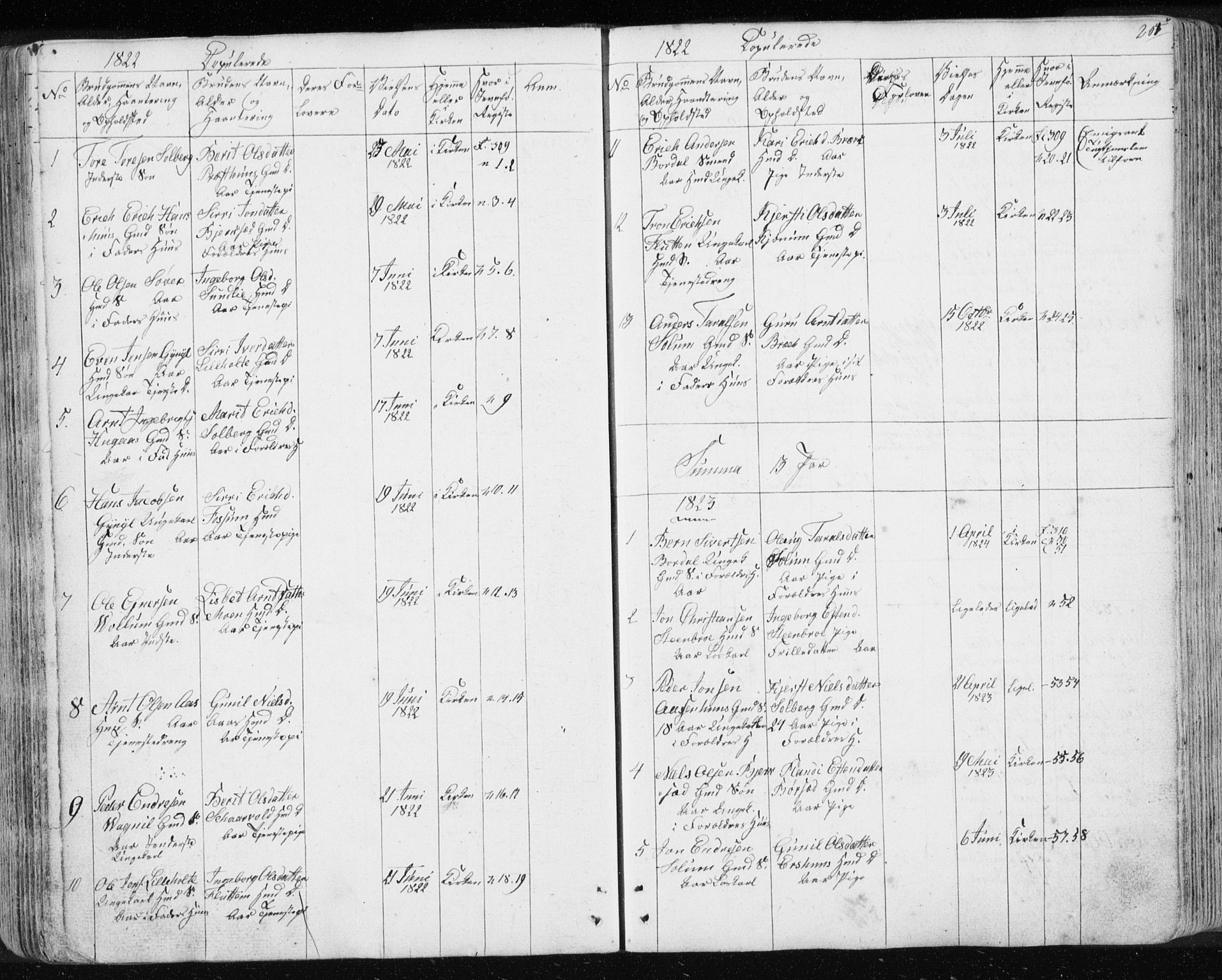 Ministerialprotokoller, klokkerbøker og fødselsregistre - Sør-Trøndelag, SAT/A-1456/689/L1043: Parish register (copy) no. 689C02, 1816-1892, p. 204