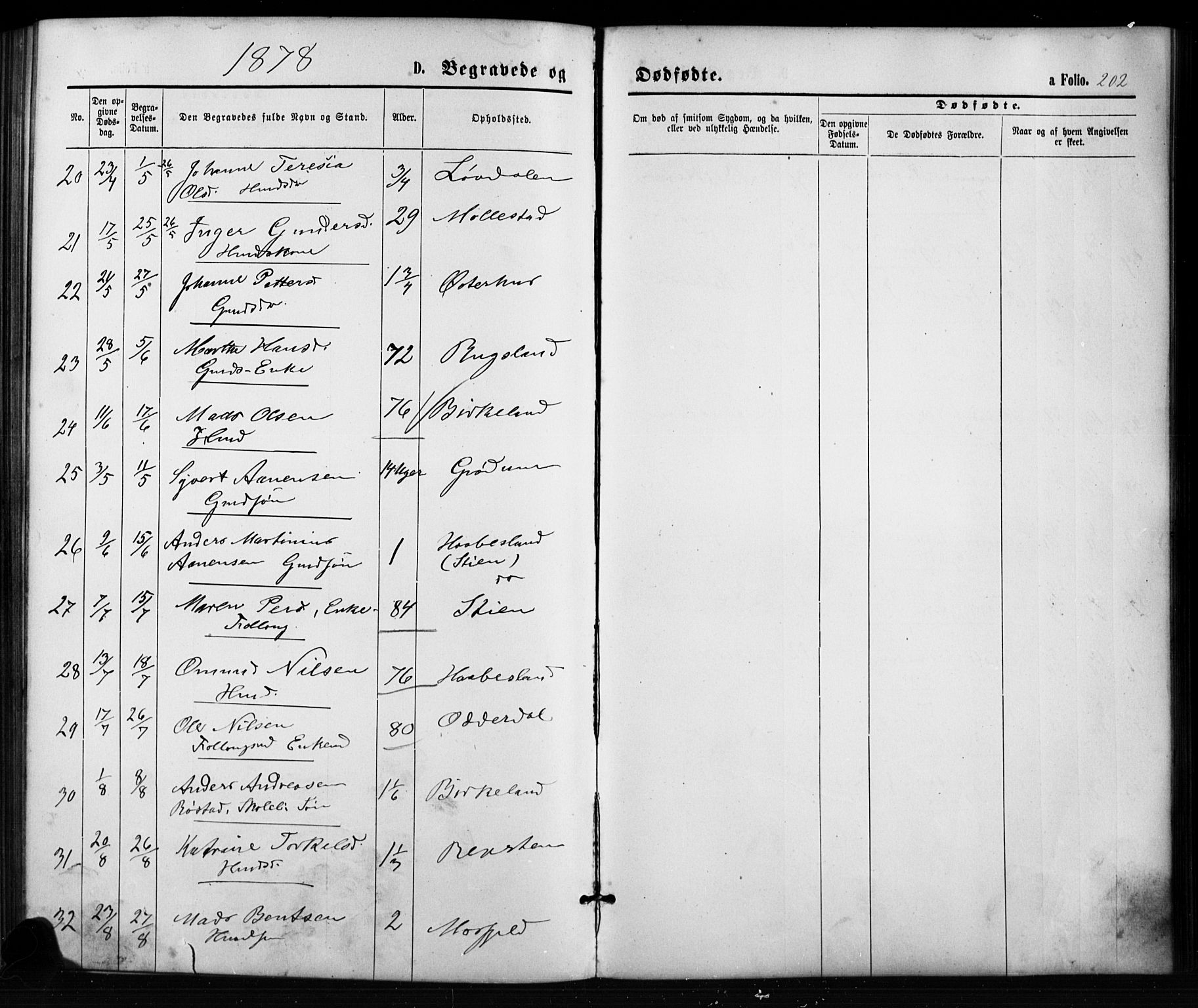 Birkenes sokneprestkontor, SAK/1111-0004/F/Fb/L0003: Parish register (copy) no. B 3, 1876-1892, p. 202