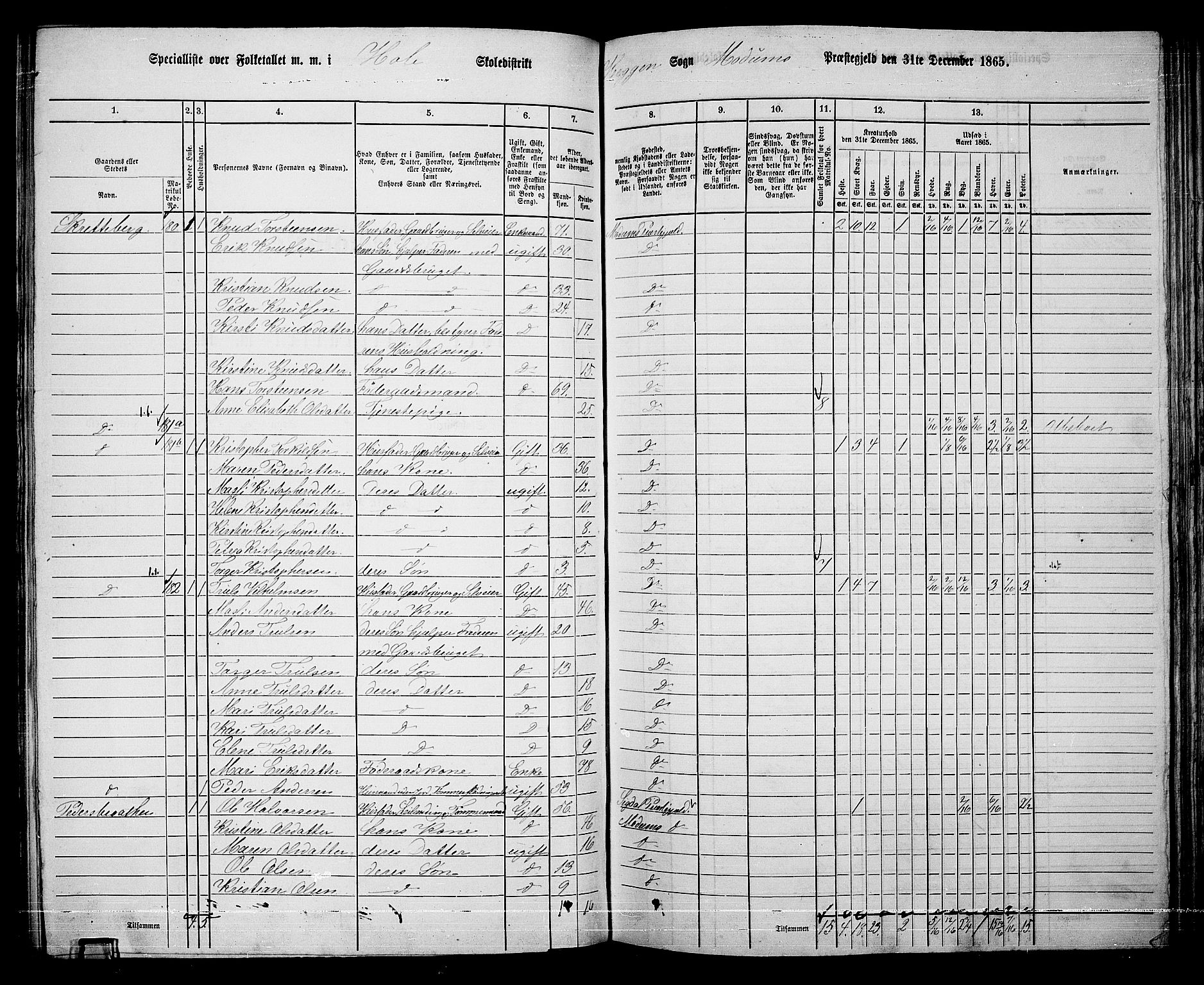 RA, 1865 census for Modum, 1865, p. 170