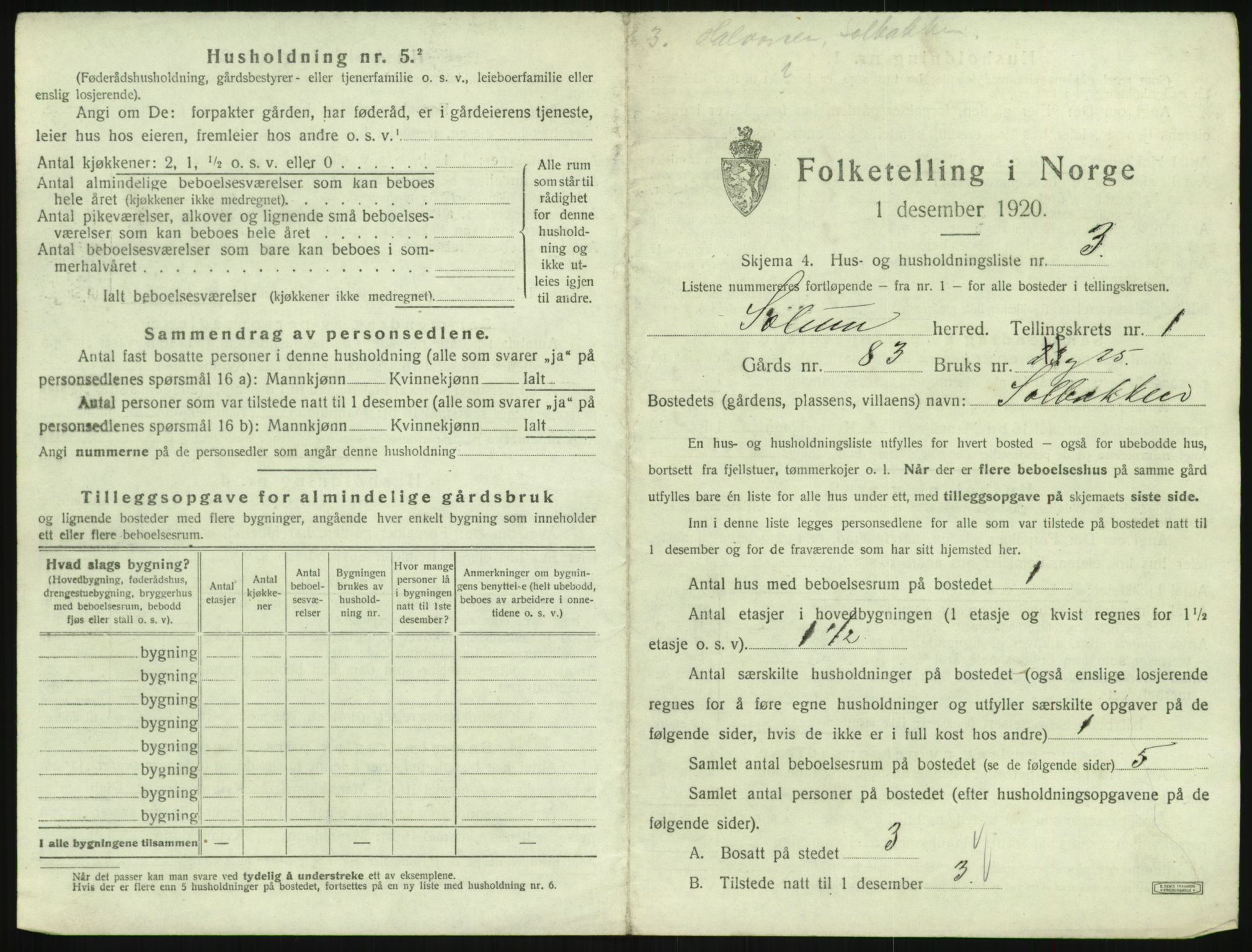 SAKO, 1920 census for Solum, 1920, p. 65