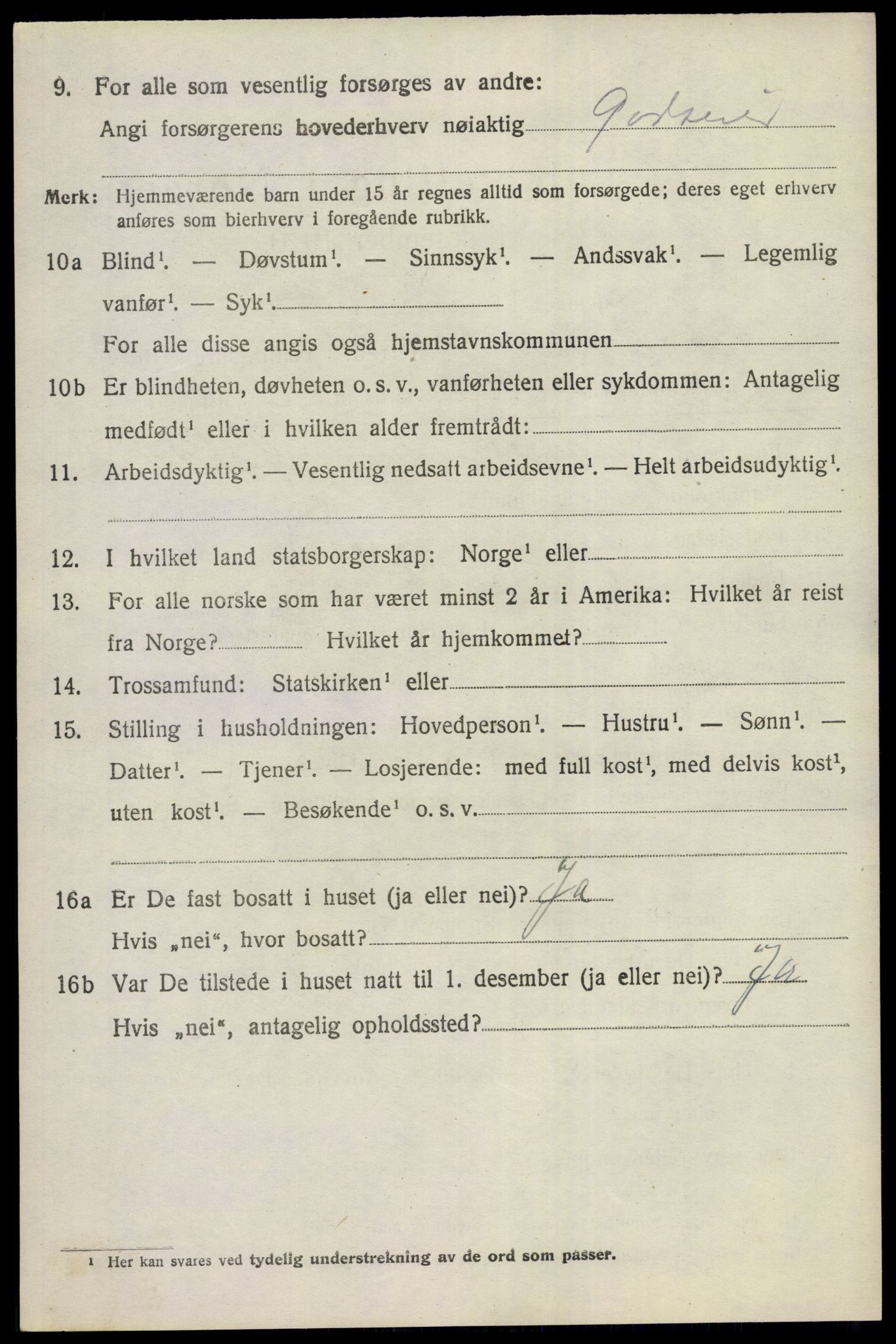 SAKO, 1920 census for Nes (Buskerud), 1920, p. 1913