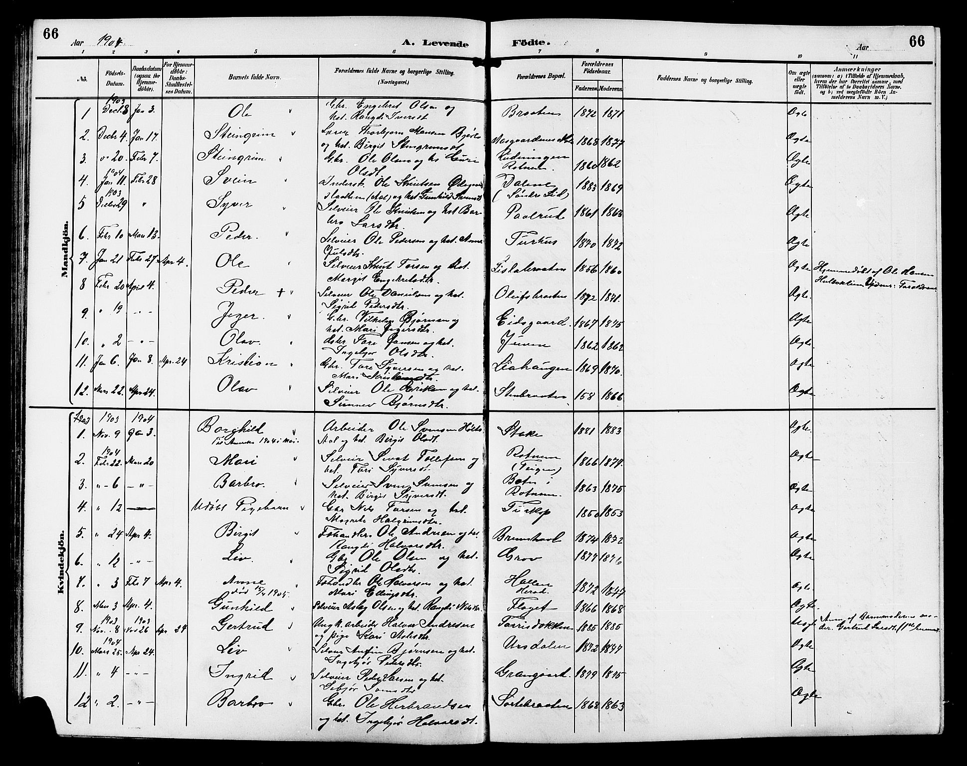 Gol kirkebøker, SAKO/A-226/G/Ga/L0003: Parish register (copy) no. I 3, 1887-1914, p. 66