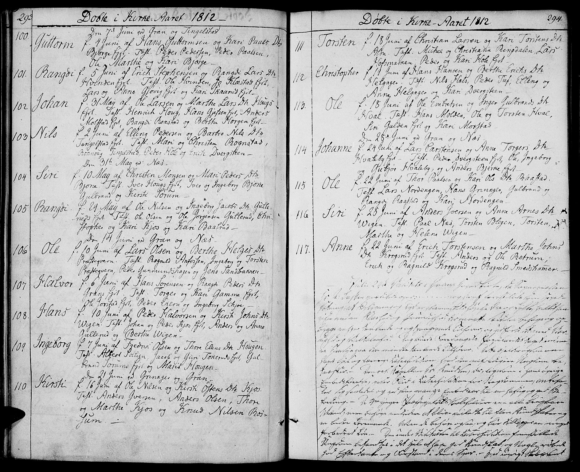 Gran prestekontor, SAH/PREST-112/H/Ha/Haa/L0008: Parish register (official) no. 8, 1798-1811, p. 293-294