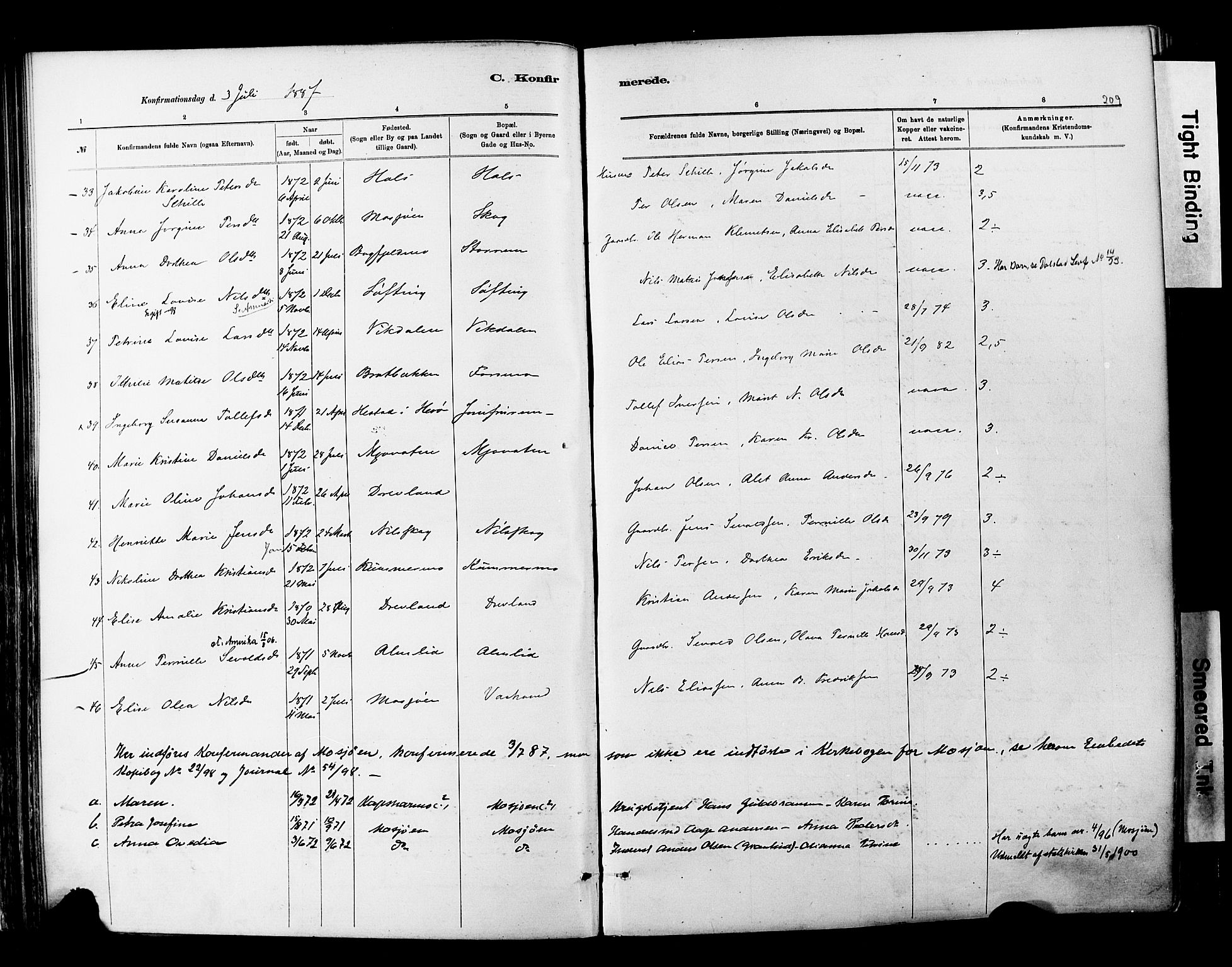 Ministerialprotokoller, klokkerbøker og fødselsregistre - Nordland, SAT/A-1459/820/L0295: Parish register (official) no. 820A16, 1880-1896, p. 209