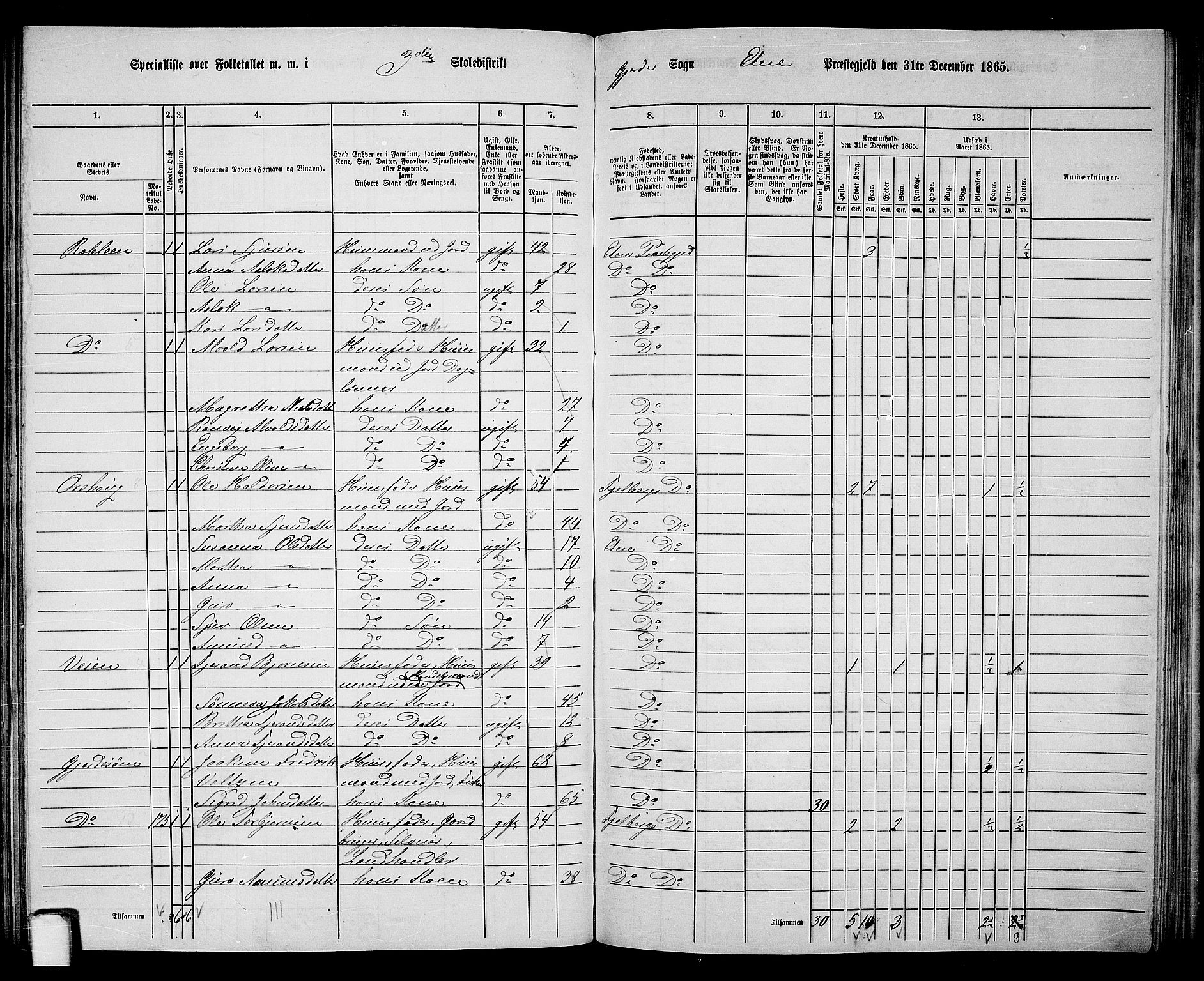 RA, 1865 census for Etne, 1865, p. 126