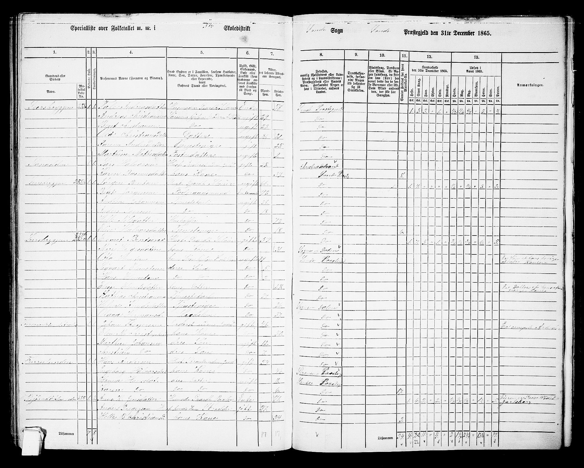 RA, 1865 census for Sande, 1865, p. 113