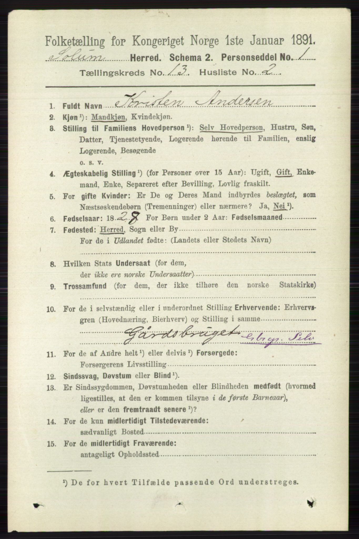 RA, 1891 census for 0818 Solum, 1891, p. 6063