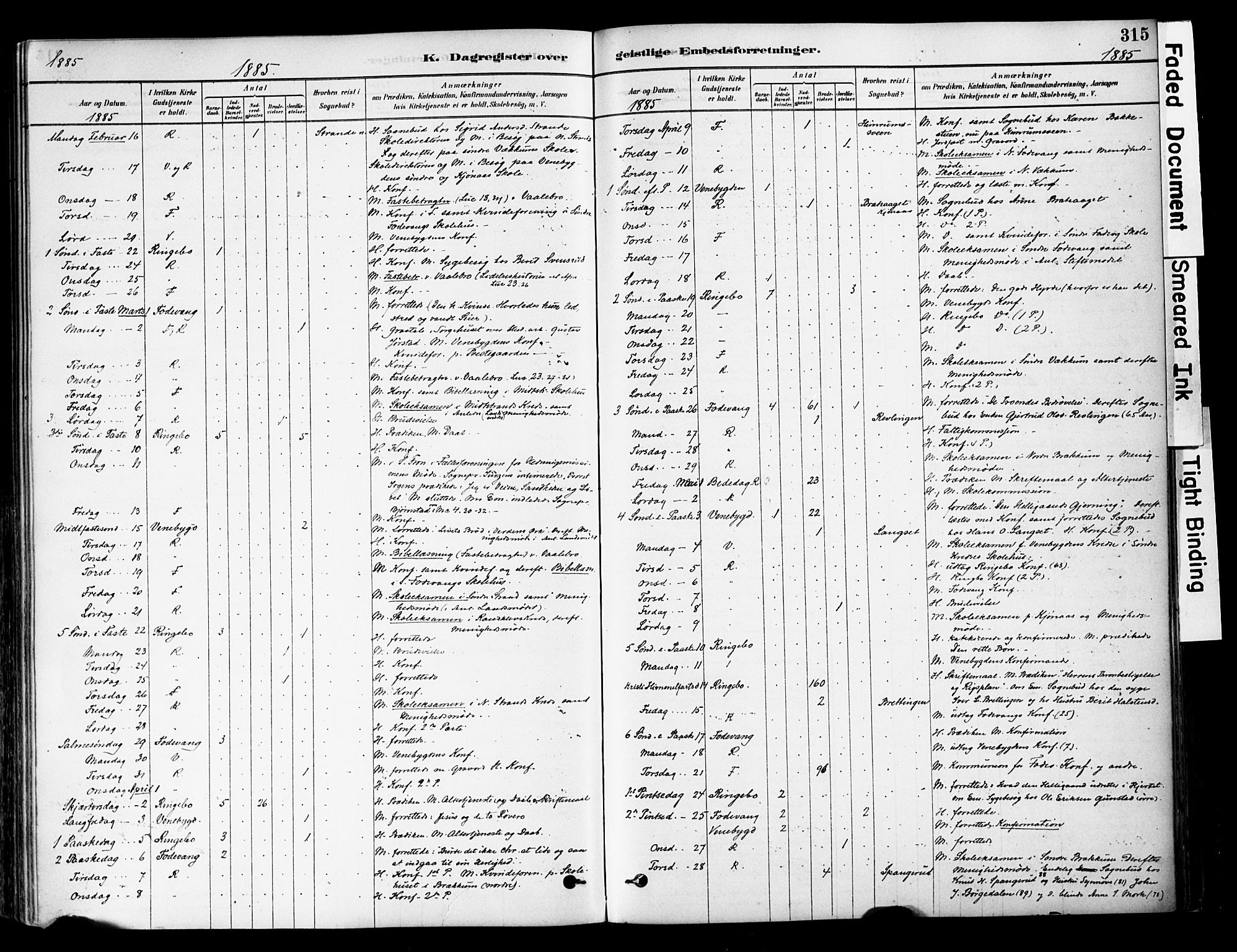 Ringebu prestekontor, AV/SAH-PREST-082/H/Ha/Haa/L0008: Parish register (official) no. 8, 1878-1898, p. 315