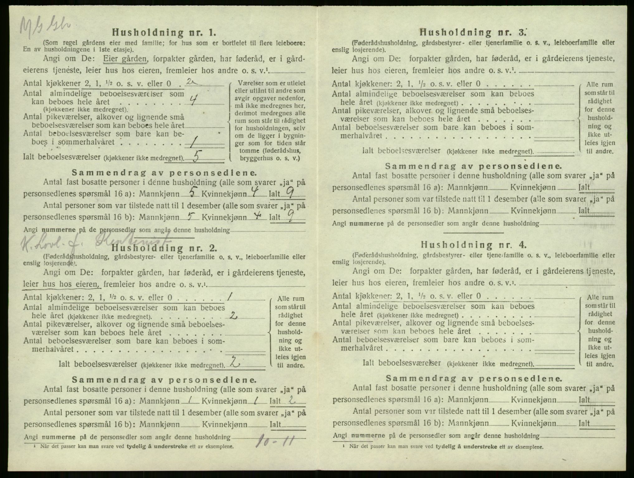 SAKO, 1920 census for Våle, 1920, p. 890