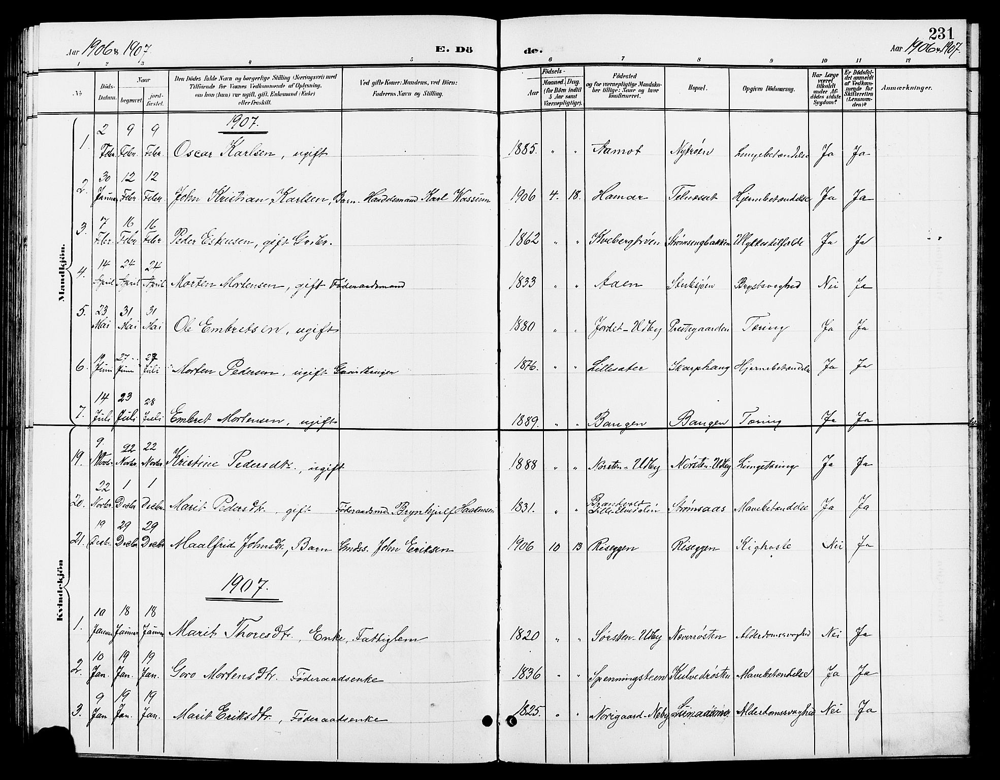 Tynset prestekontor, SAH/PREST-058/H/Ha/Hab/L0009: Parish register (copy) no. 9, 1900-1914, p. 231