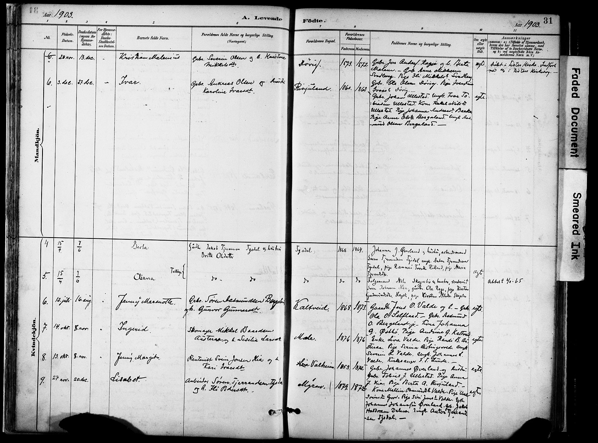 Hjelmeland sokneprestkontor, AV/SAST-A-101843/02/A/L0001: Parish register (official) no. A 16, 1887-1926, p. 31