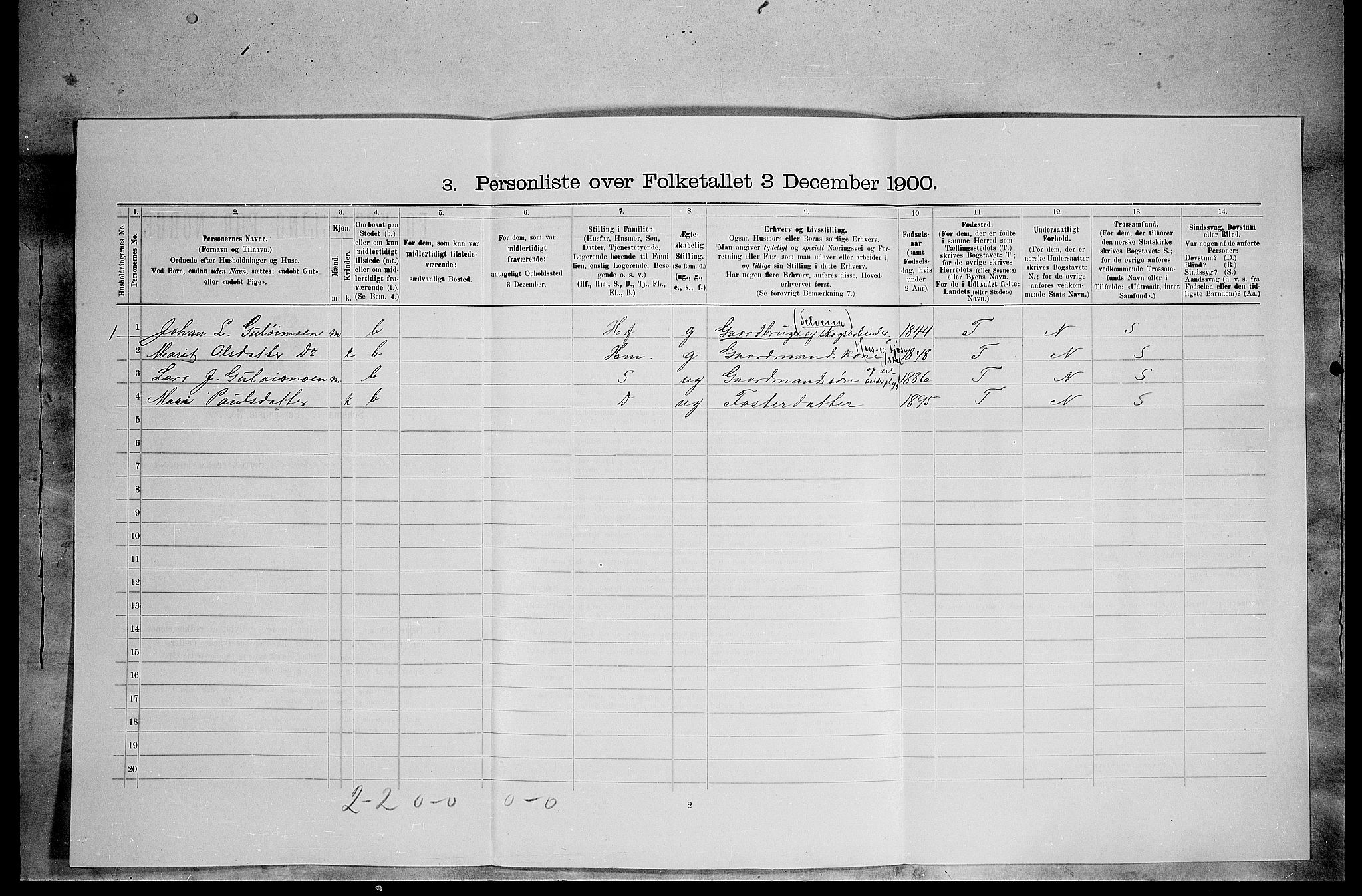 SAH, 1900 census for Lille Elvedalen, 1900, p. 301