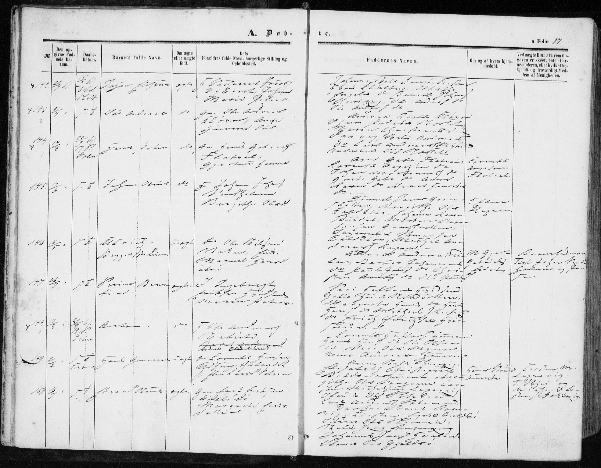 Ministerialprotokoller, klokkerbøker og fødselsregistre - Sør-Trøndelag, AV/SAT-A-1456/634/L0531: Parish register (official) no. 634A07, 1861-1870, p. 17