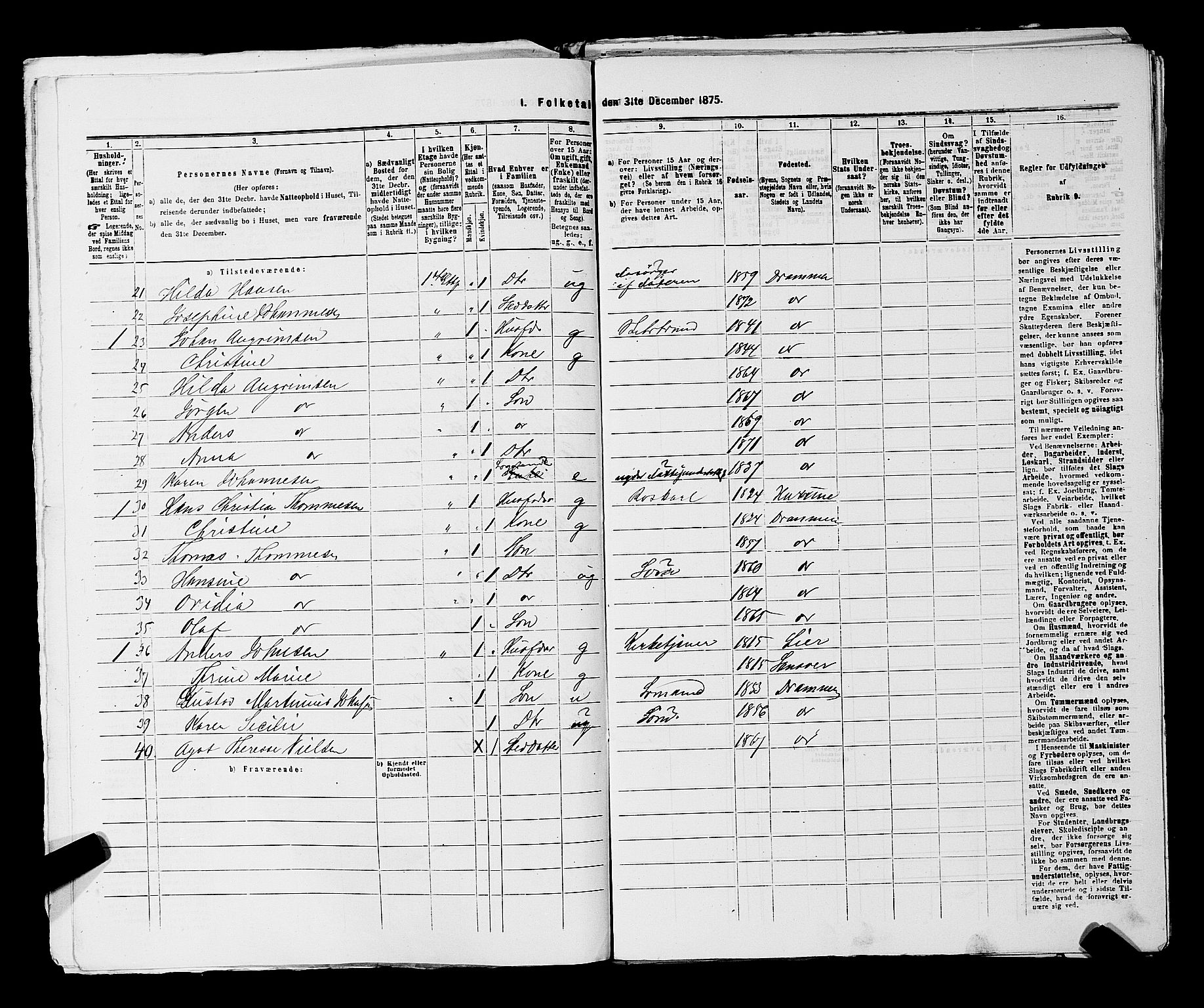 SAKO, 1875 census for 0602 Drammen, 1875, p. 3066