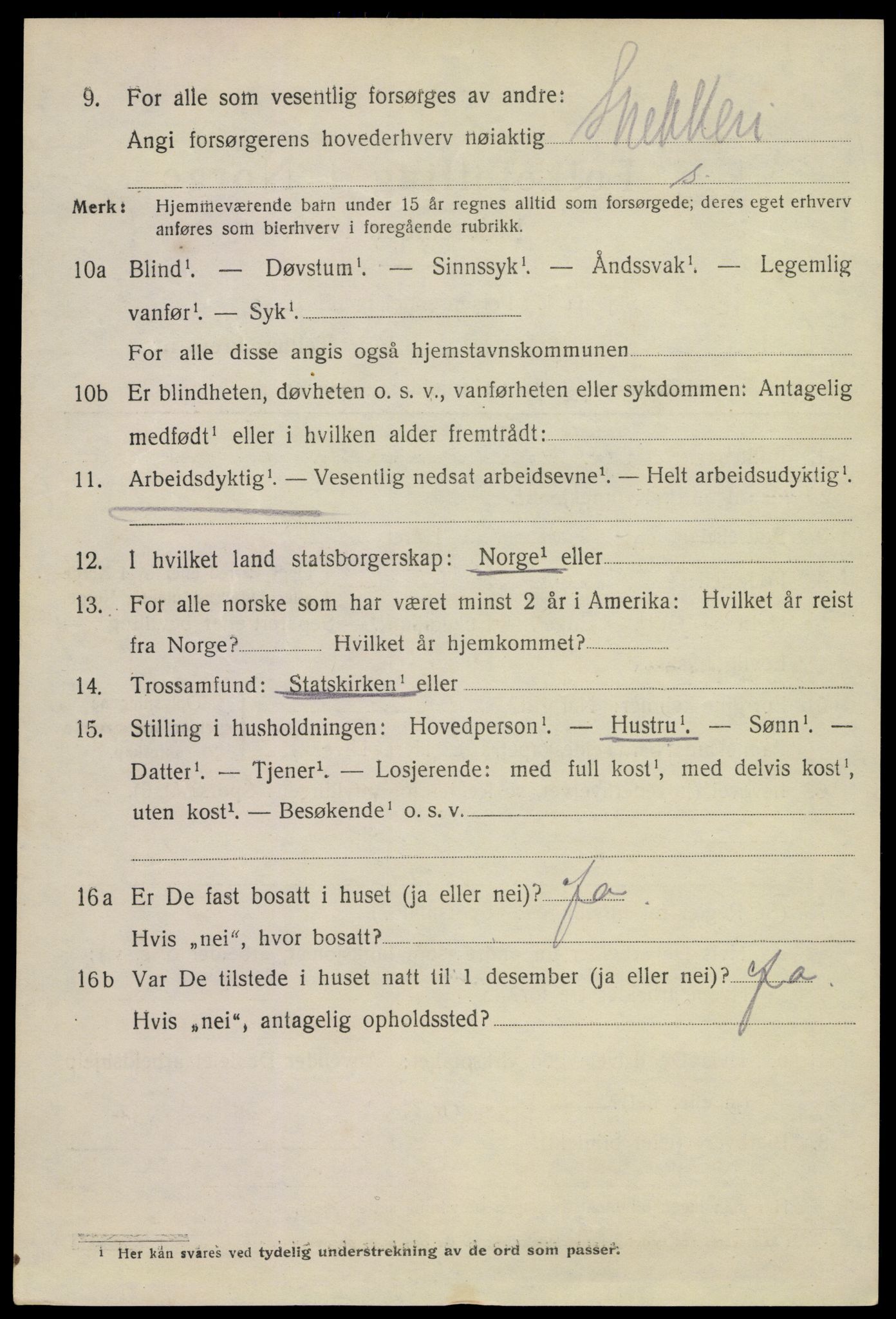 SAKO, 1920 census for Horten, 1920, p. 12076
