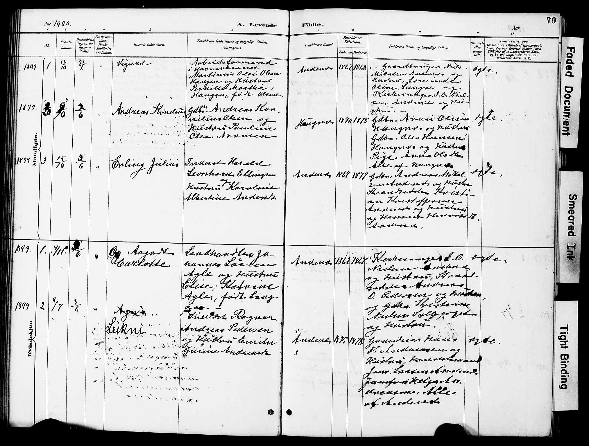 Ministerialprotokoller, klokkerbøker og fødselsregistre - Nordland, AV/SAT-A-1459/899/L1448: Parish register (copy) no. 899C03, 1887-1902, p. 79