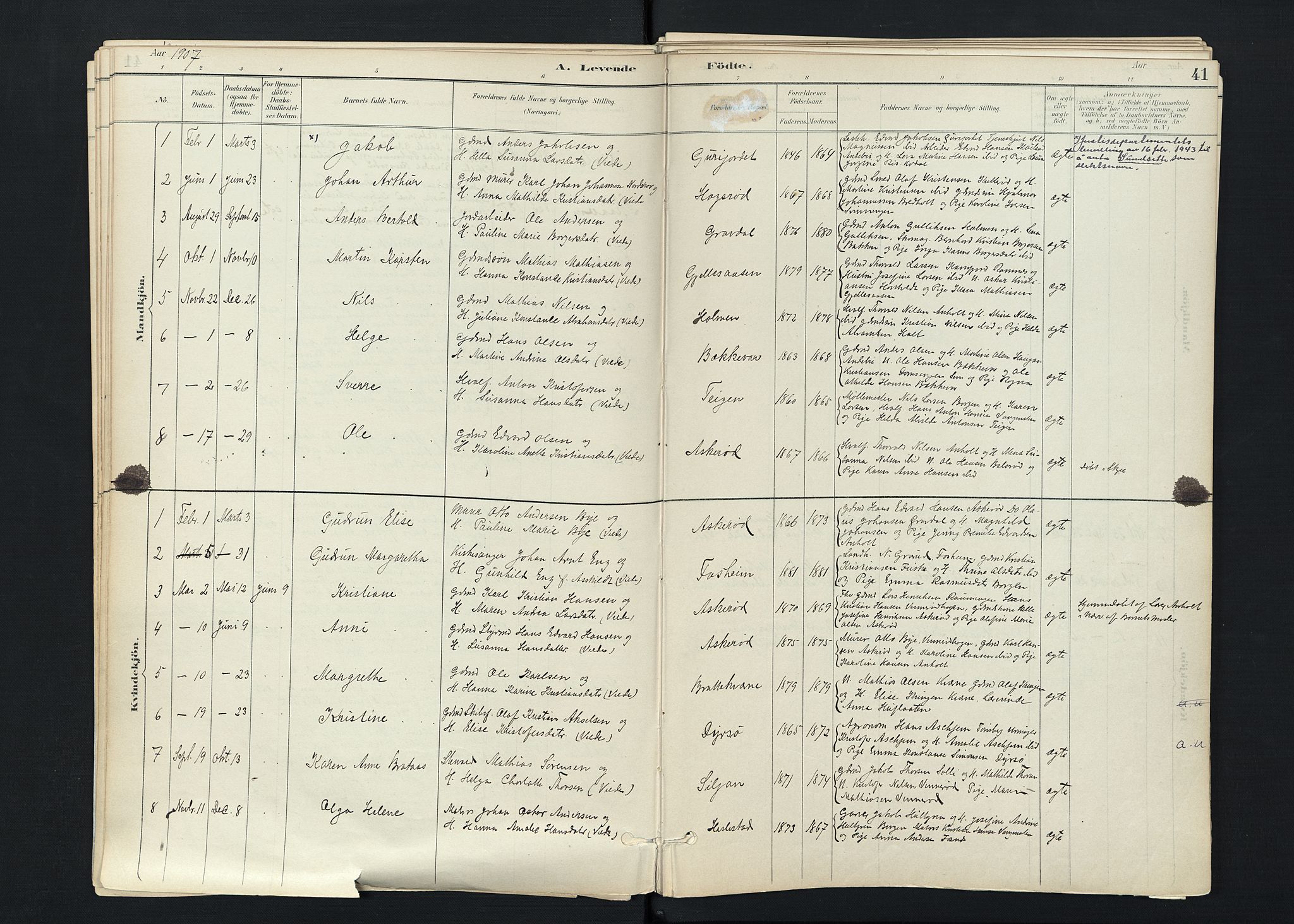 Stokke kirkebøker, SAKO/A-320/F/Fc/L0001: Parish register (official) no. III 1, 1884-1910, p. 41