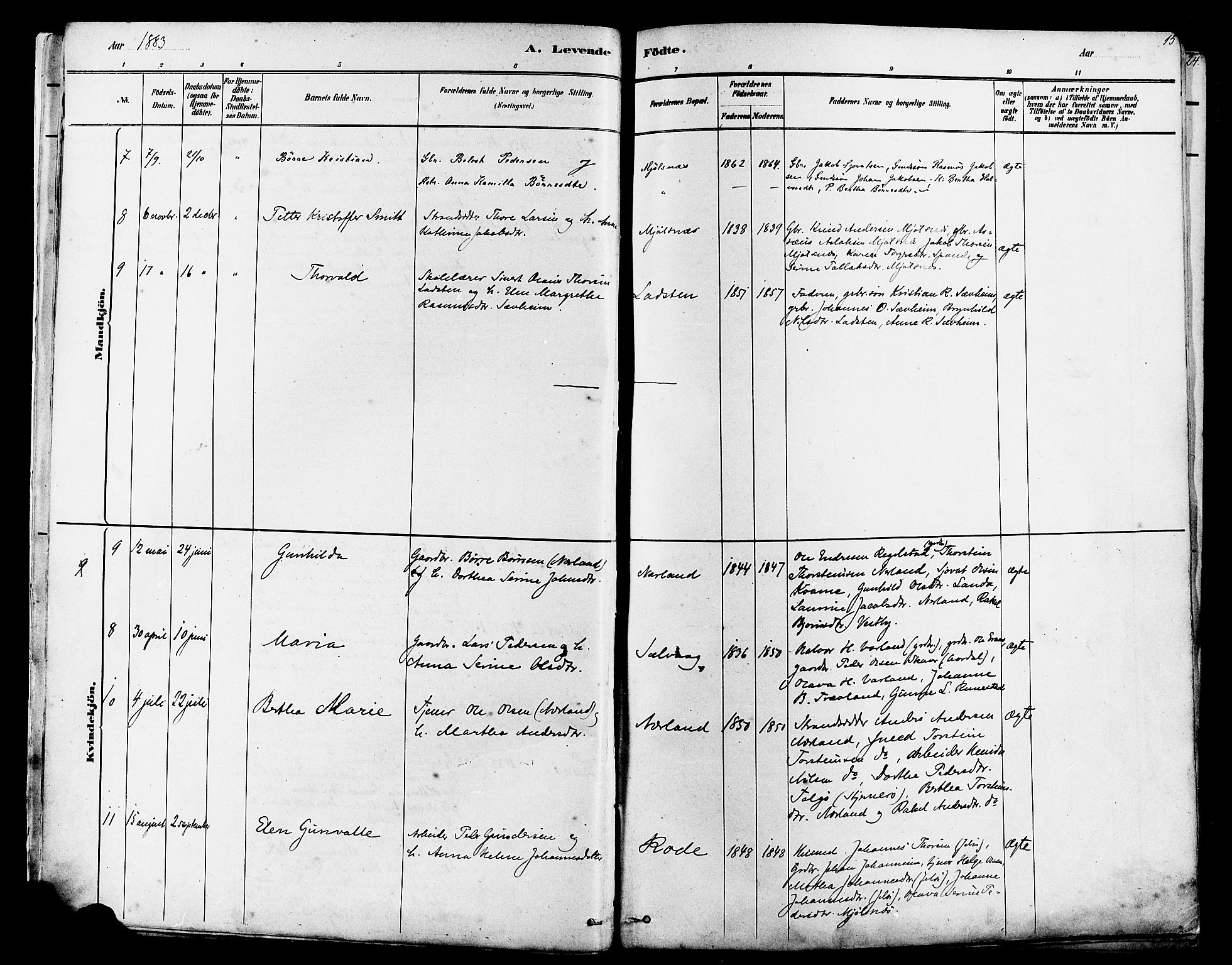 Finnøy sokneprestkontor, AV/SAST-A-101825/H/Ha/Haa/L0010: Parish register (official) no. A 10, 1879-1890, p. 15