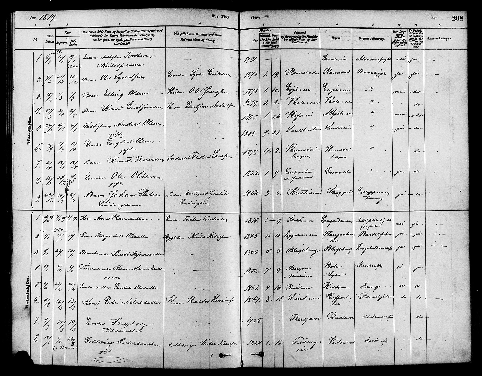Sigdal kirkebøker, SAKO/A-245/F/Fa/L0011: Parish register (official) no. I 11, 1879-1887, p. 208
