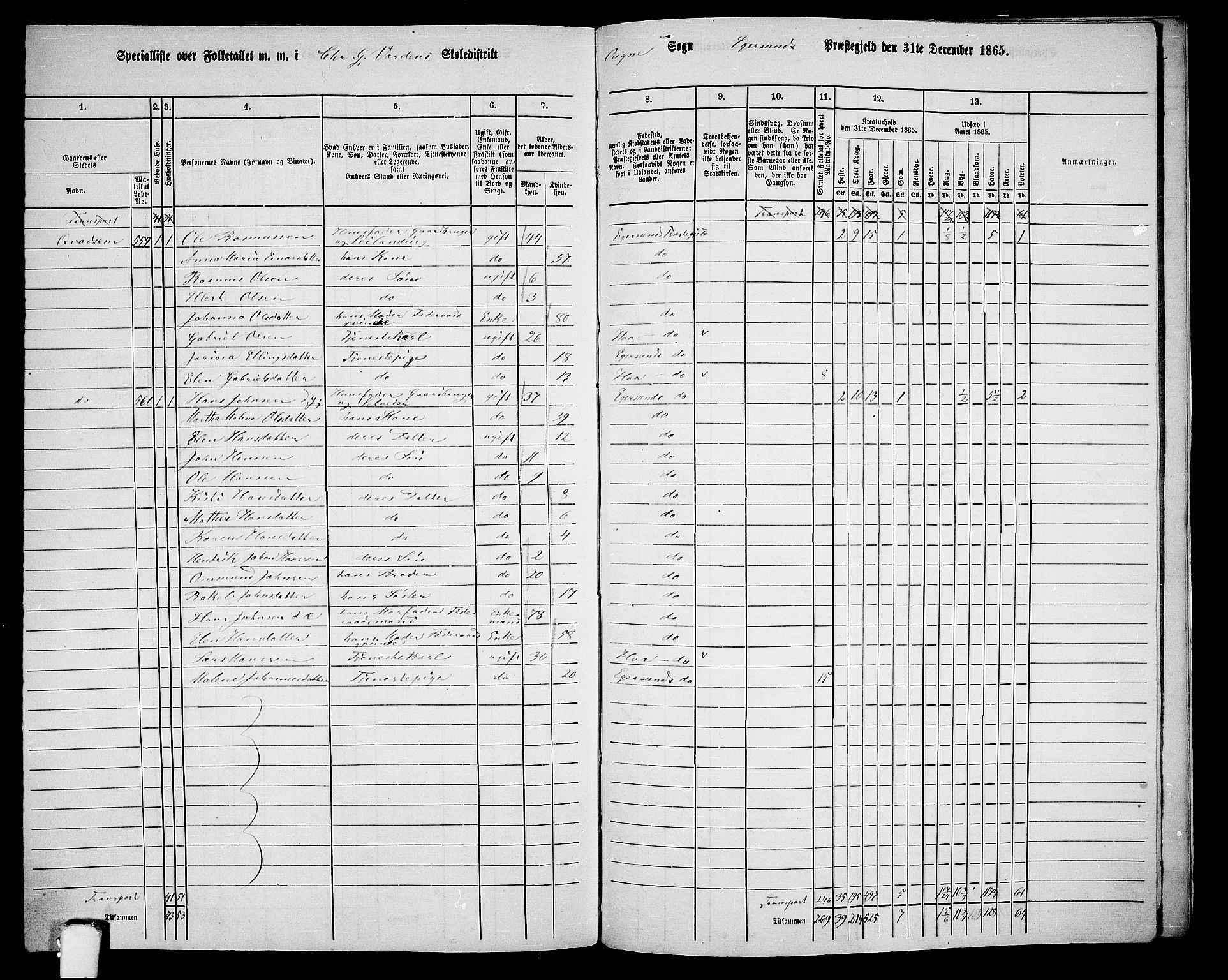 RA, 1865 census for Eigersund/Eigersund og Ogna, 1865, p. 153