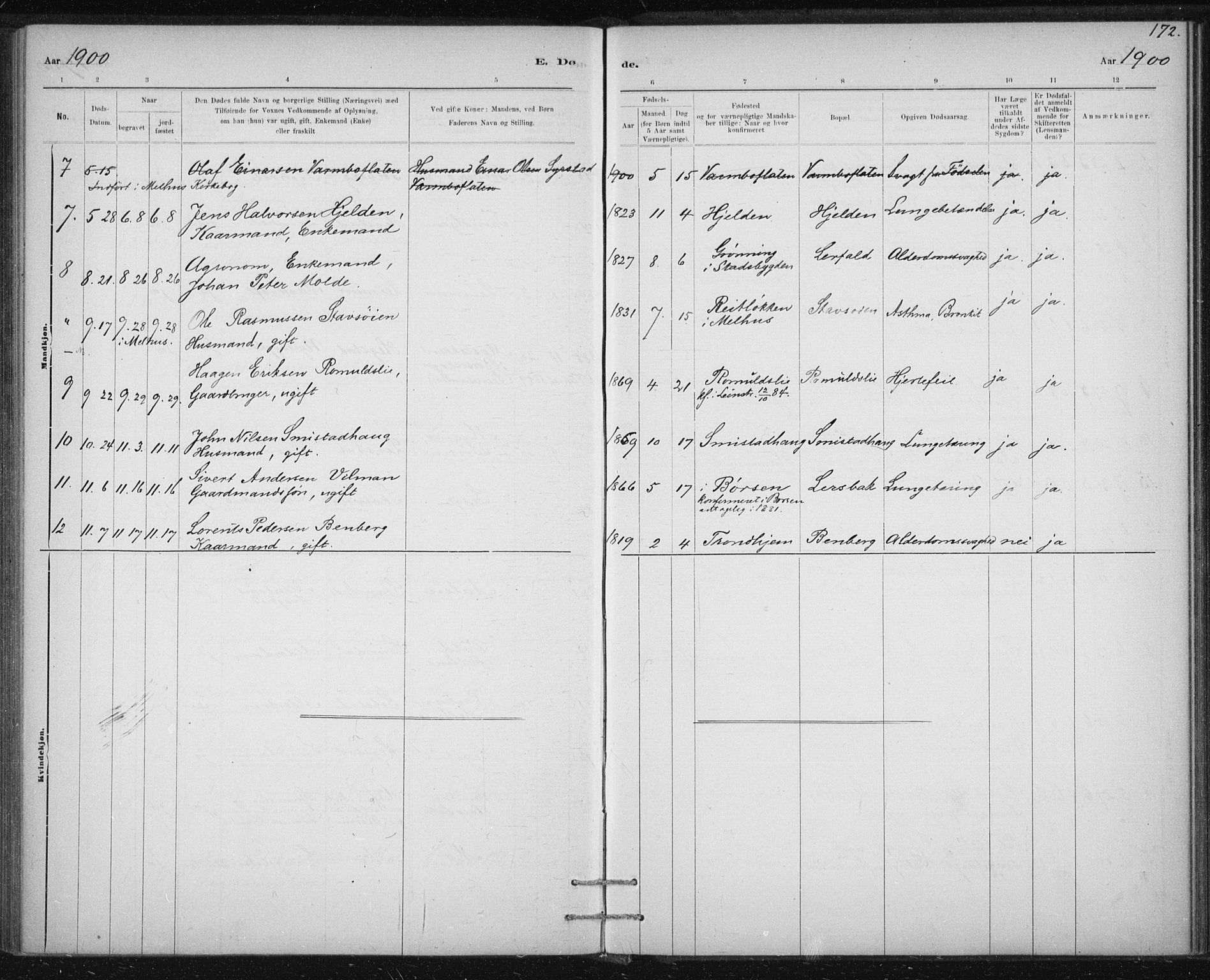 Ministerialprotokoller, klokkerbøker og fødselsregistre - Sør-Trøndelag, SAT/A-1456/613/L0392: Parish register (official) no. 613A01, 1887-1906, p. 172