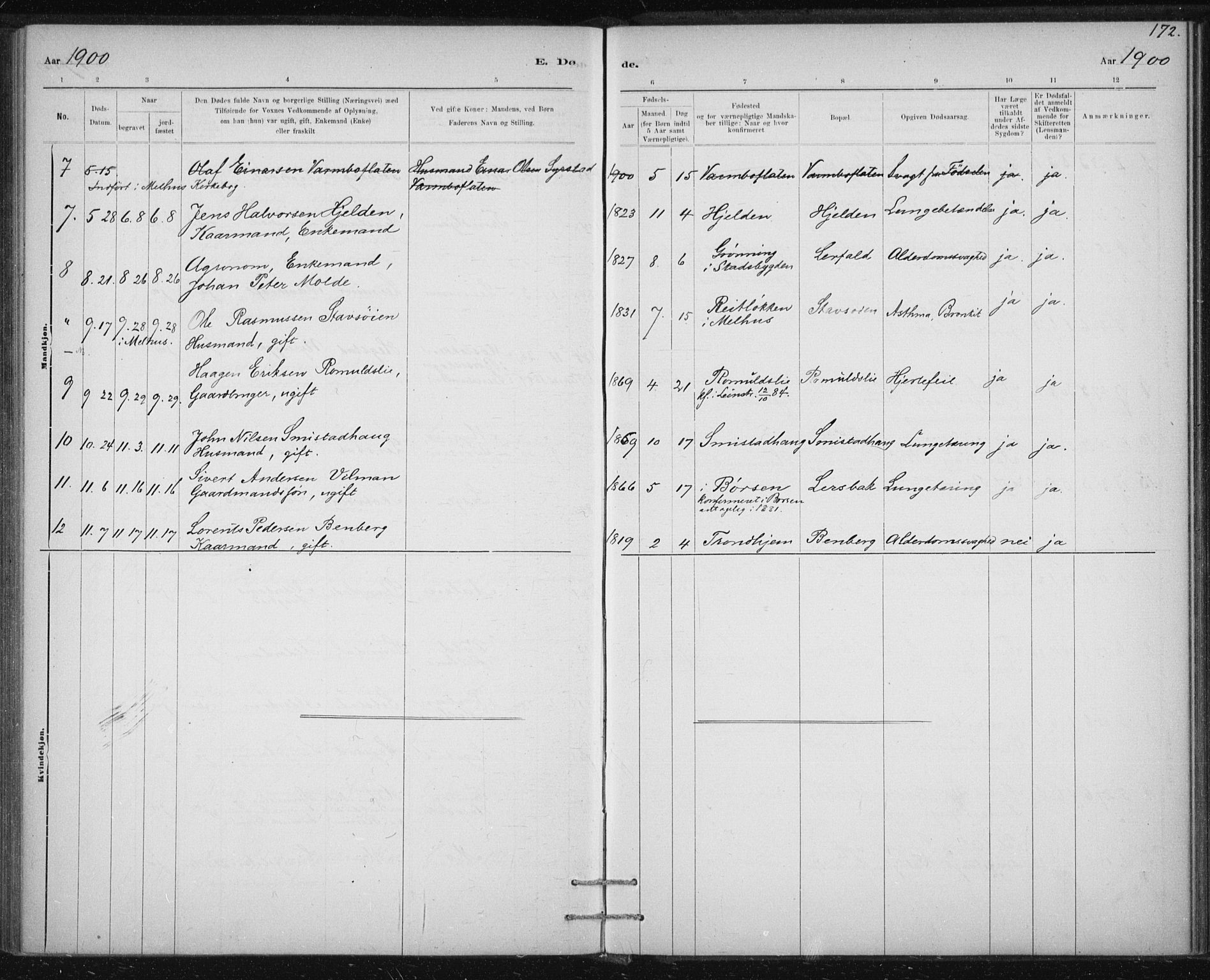 Ministerialprotokoller, klokkerbøker og fødselsregistre - Sør-Trøndelag, AV/SAT-A-1456/613/L0392: Parish register (official) no. 613A01, 1887-1906, p. 172