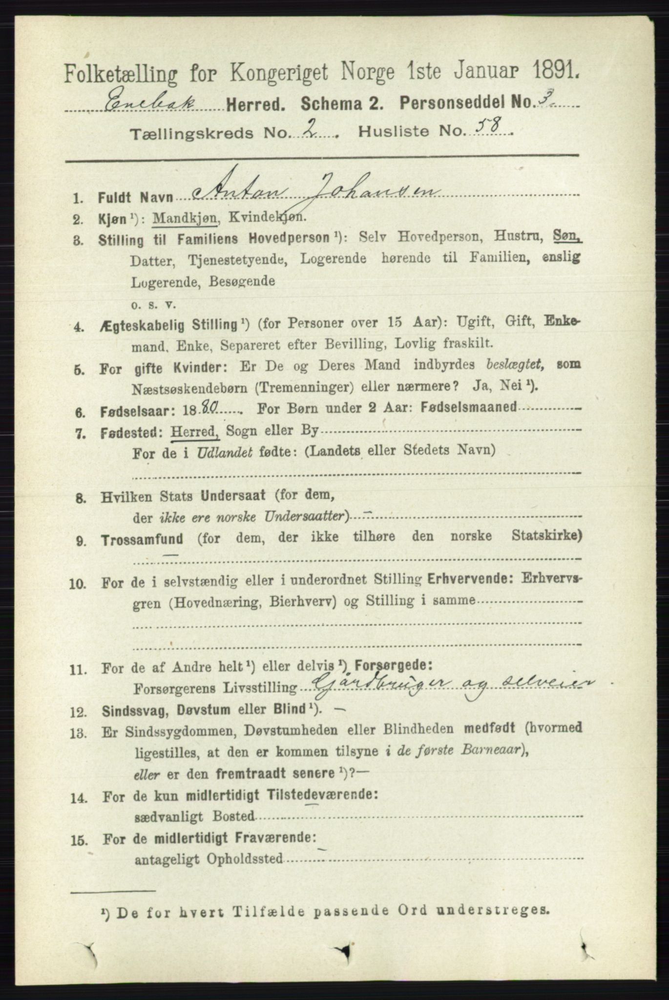 RA, 1891 census for 0229 Enebakk, 1891, p. 1064