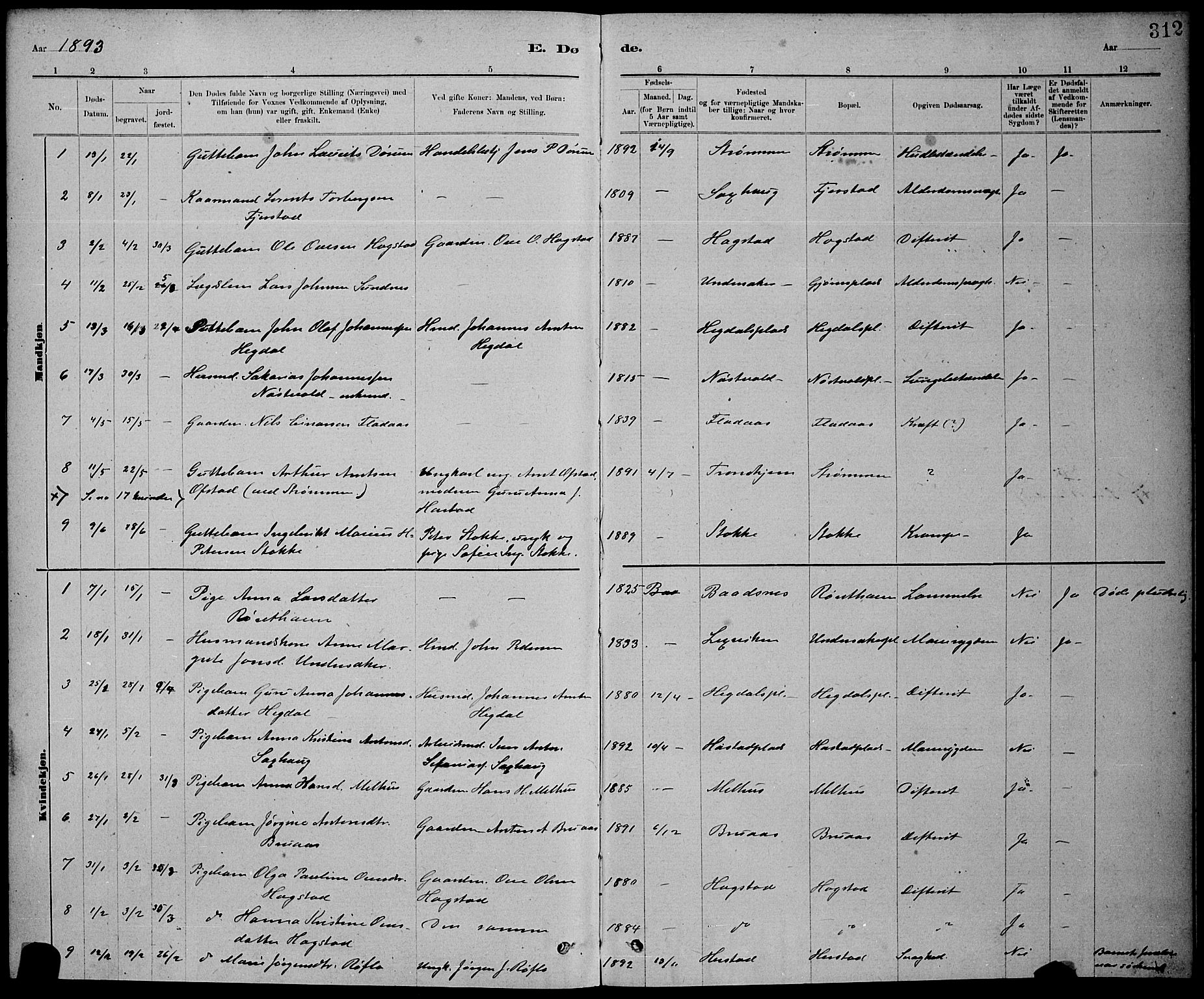 Ministerialprotokoller, klokkerbøker og fødselsregistre - Nord-Trøndelag, SAT/A-1458/730/L0301: Parish register (copy) no. 730C04, 1880-1897, p. 312
