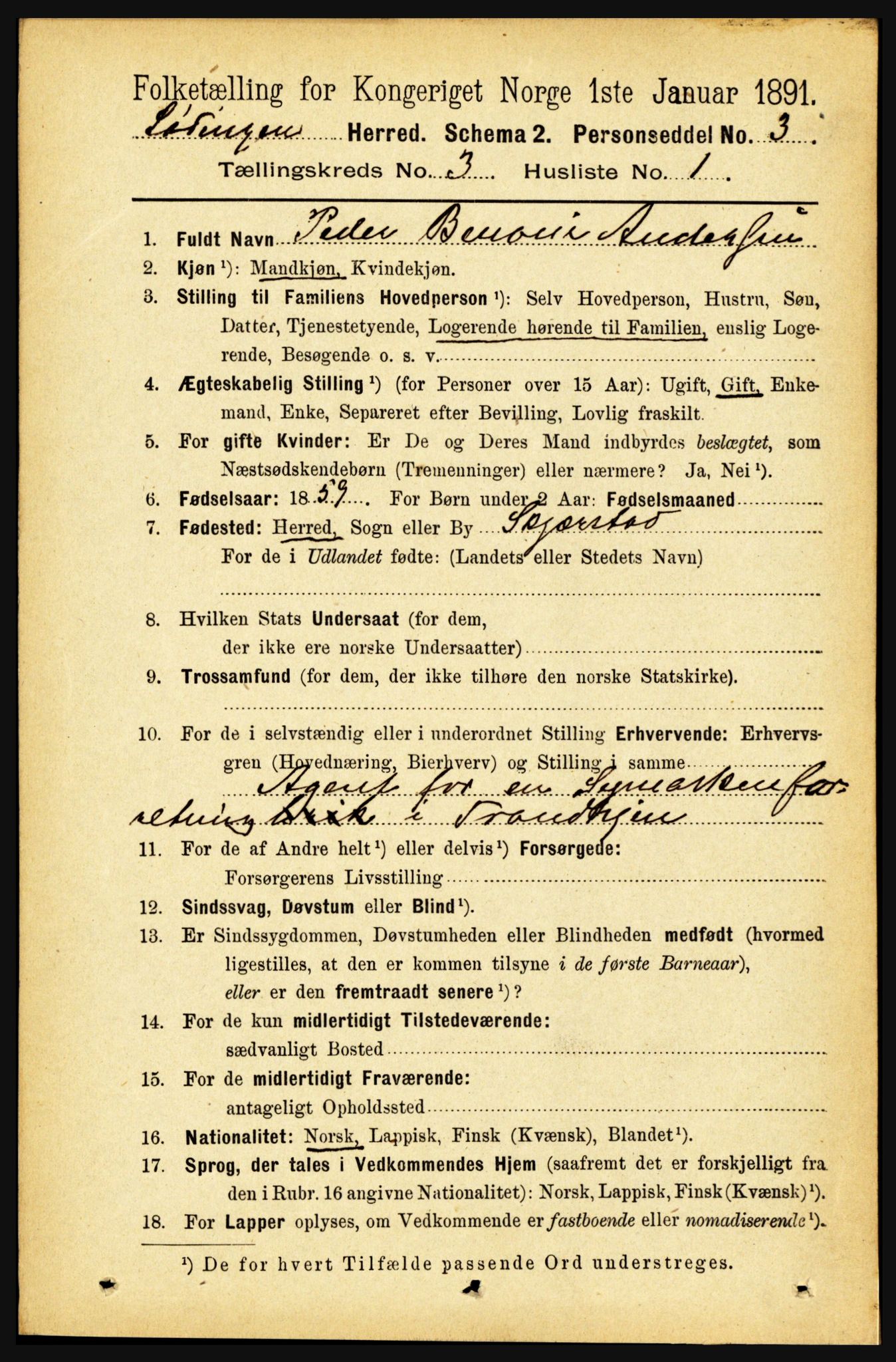 RA, 1891 census for 1851 Lødingen, 1891, p. 1379