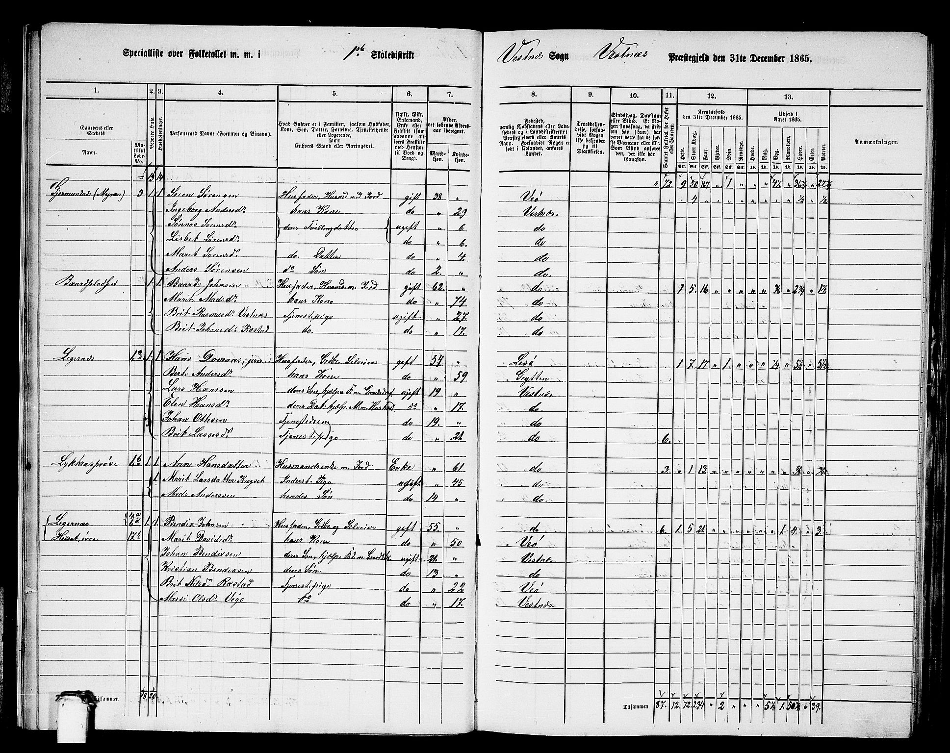 RA, 1865 census for Vestnes, 1865, p. 13